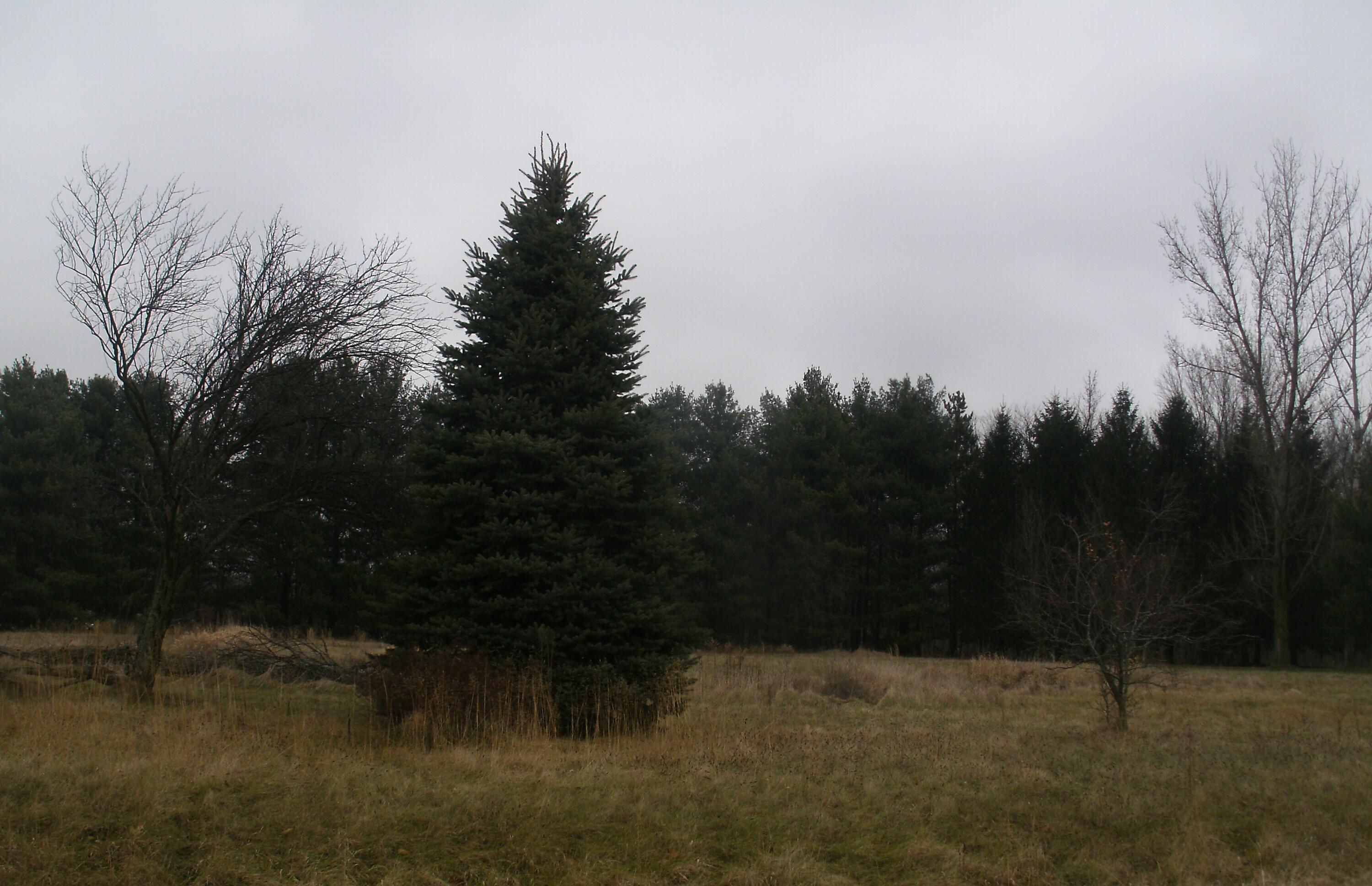 64457 Needham Road Property Photo 2