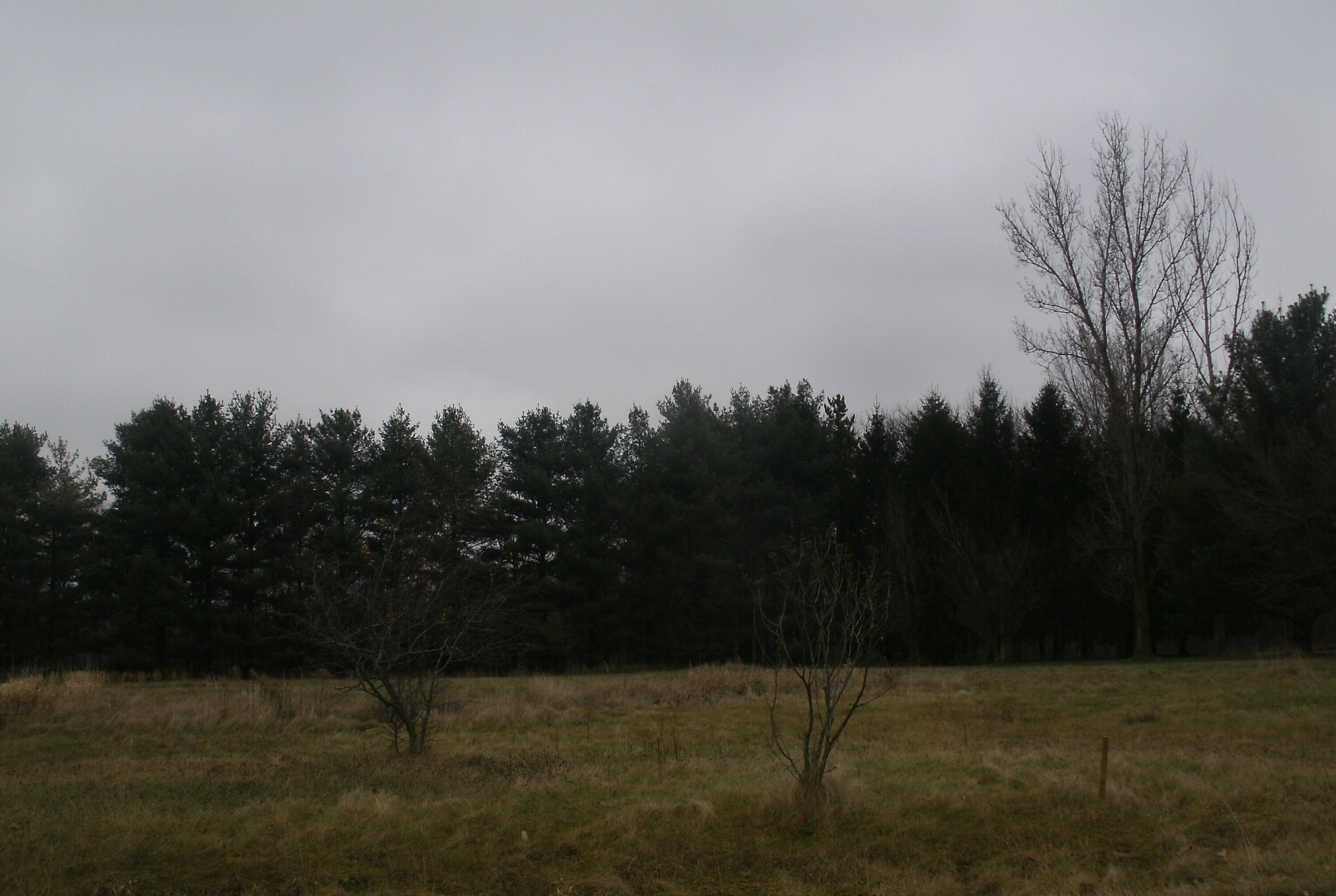 64457 Needham Road Property Photo 3