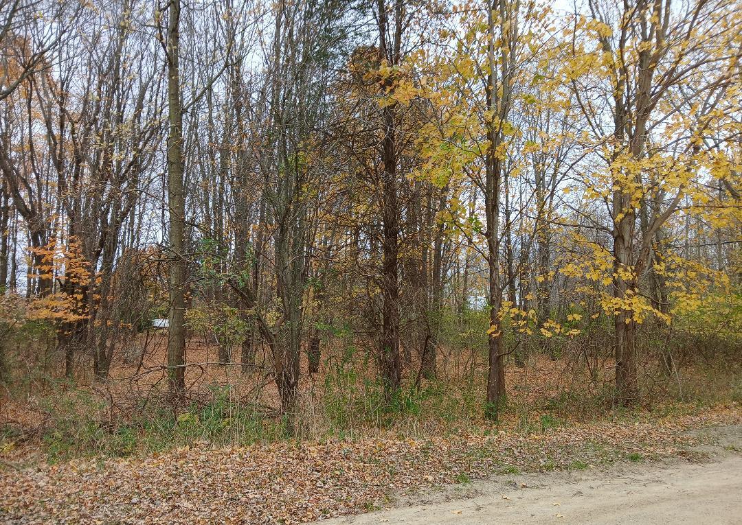 0 Atlantic Drive Property Photo 2