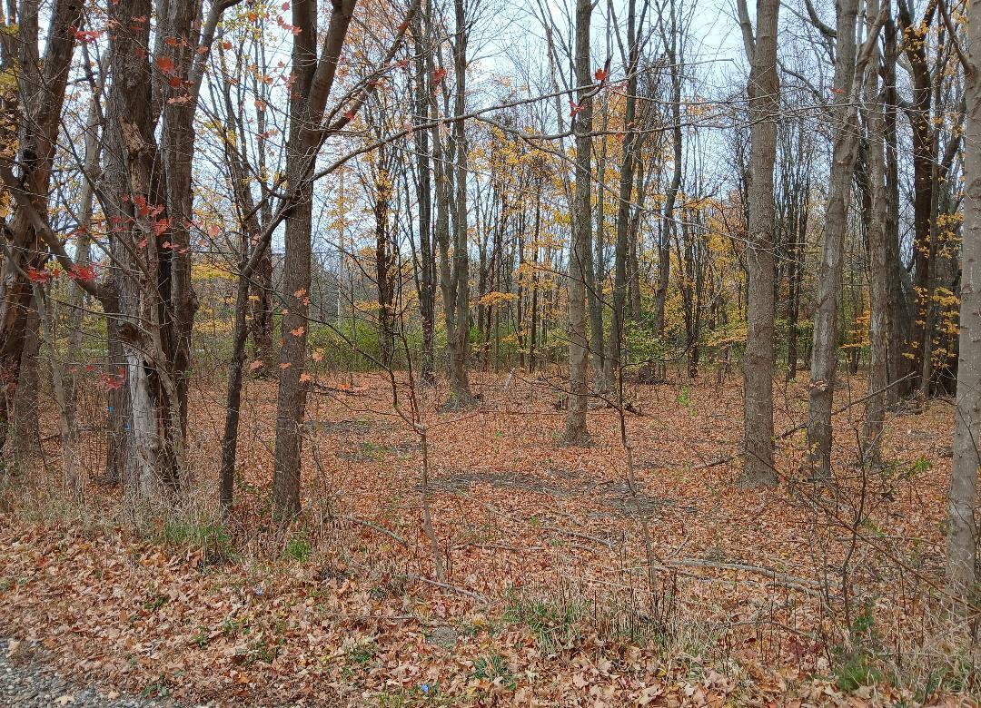 0 Atlantic Drive Property Photo 3