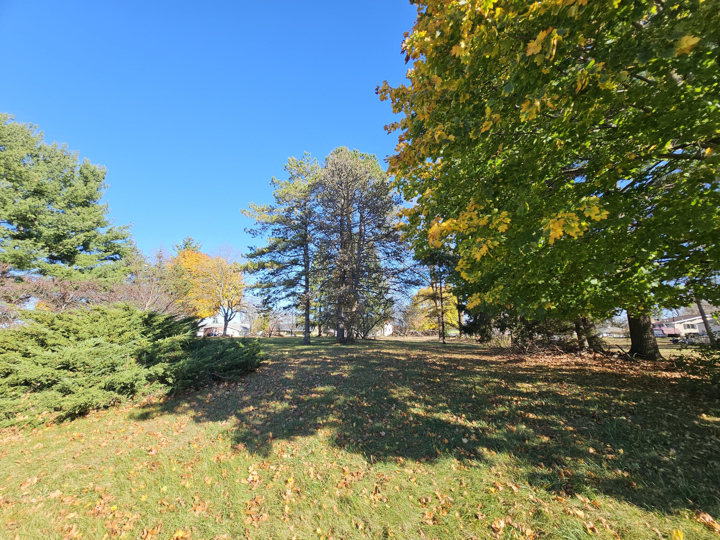 10791 Montview Drive Property Photo 3