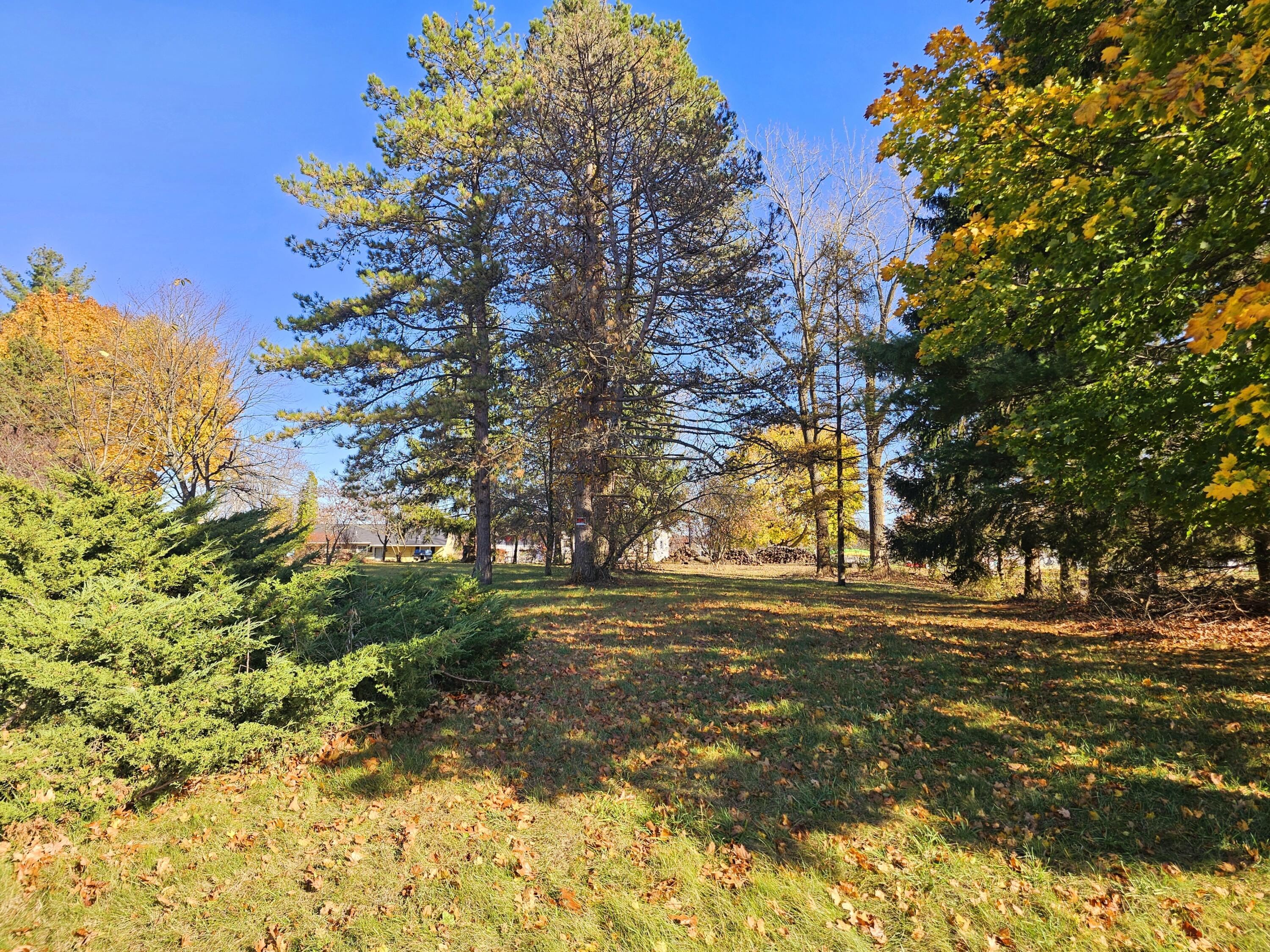 10791 Montview Drive Property Photo 6