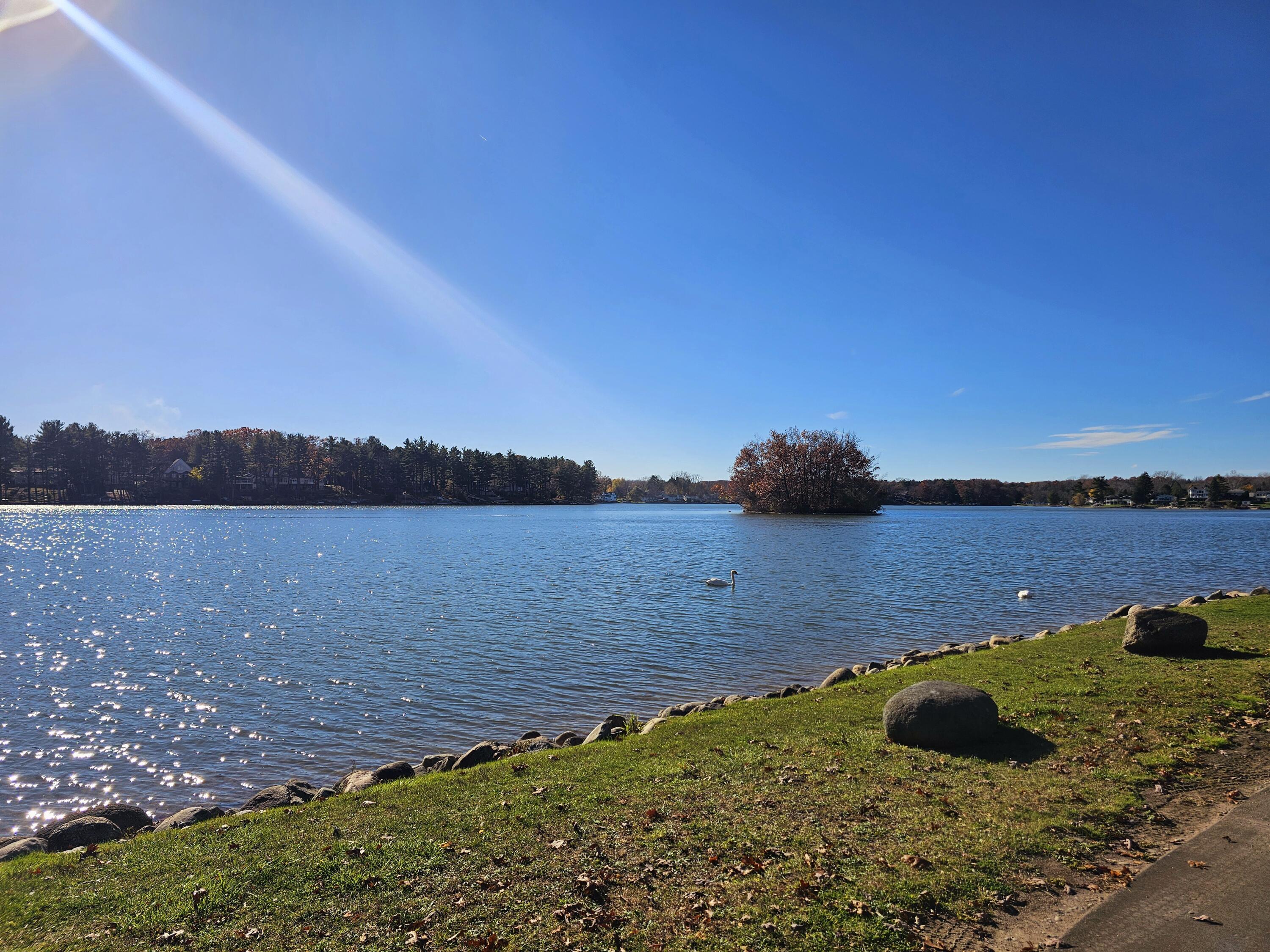 10791 Montview Drive Property Photo 8