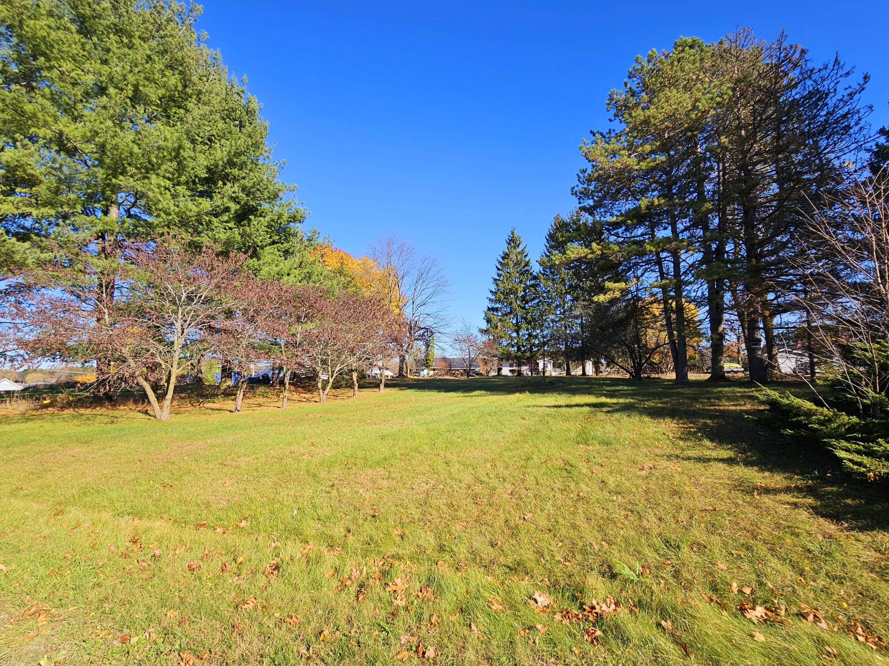 10791 Montview Drive Property Photo 12