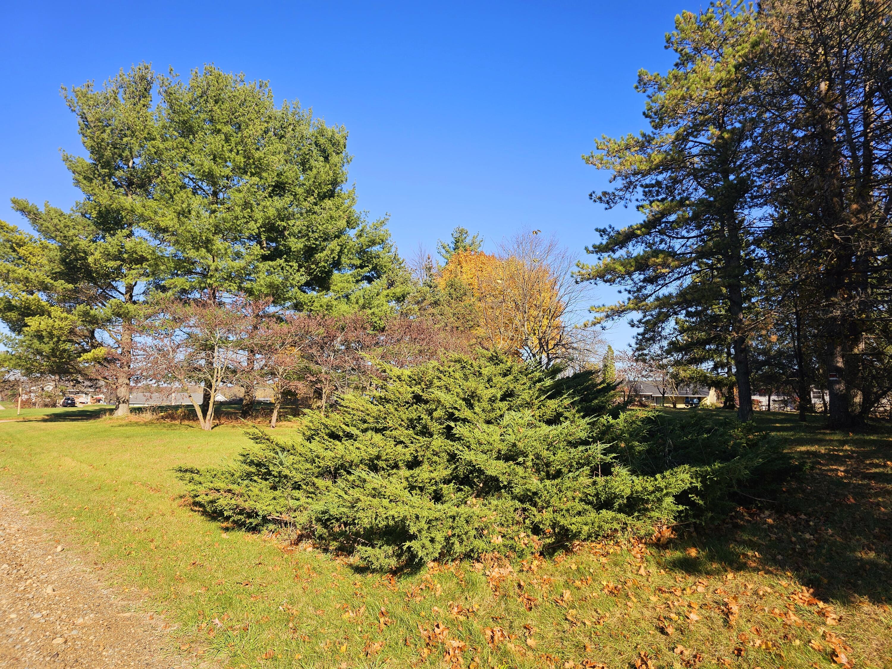 10791 Montview Drive Property Photo 14