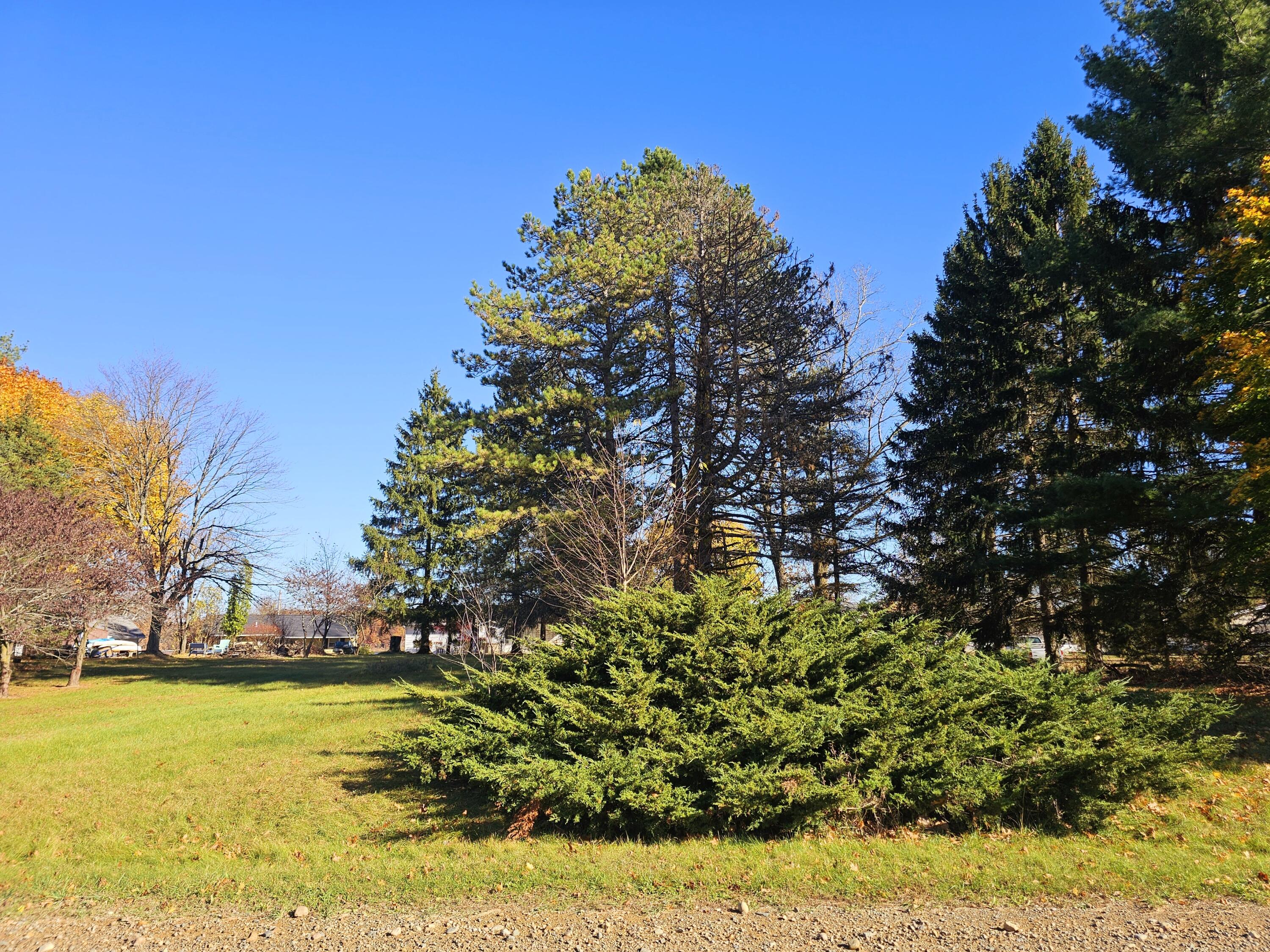 10791 Montview Drive Property Photo 19