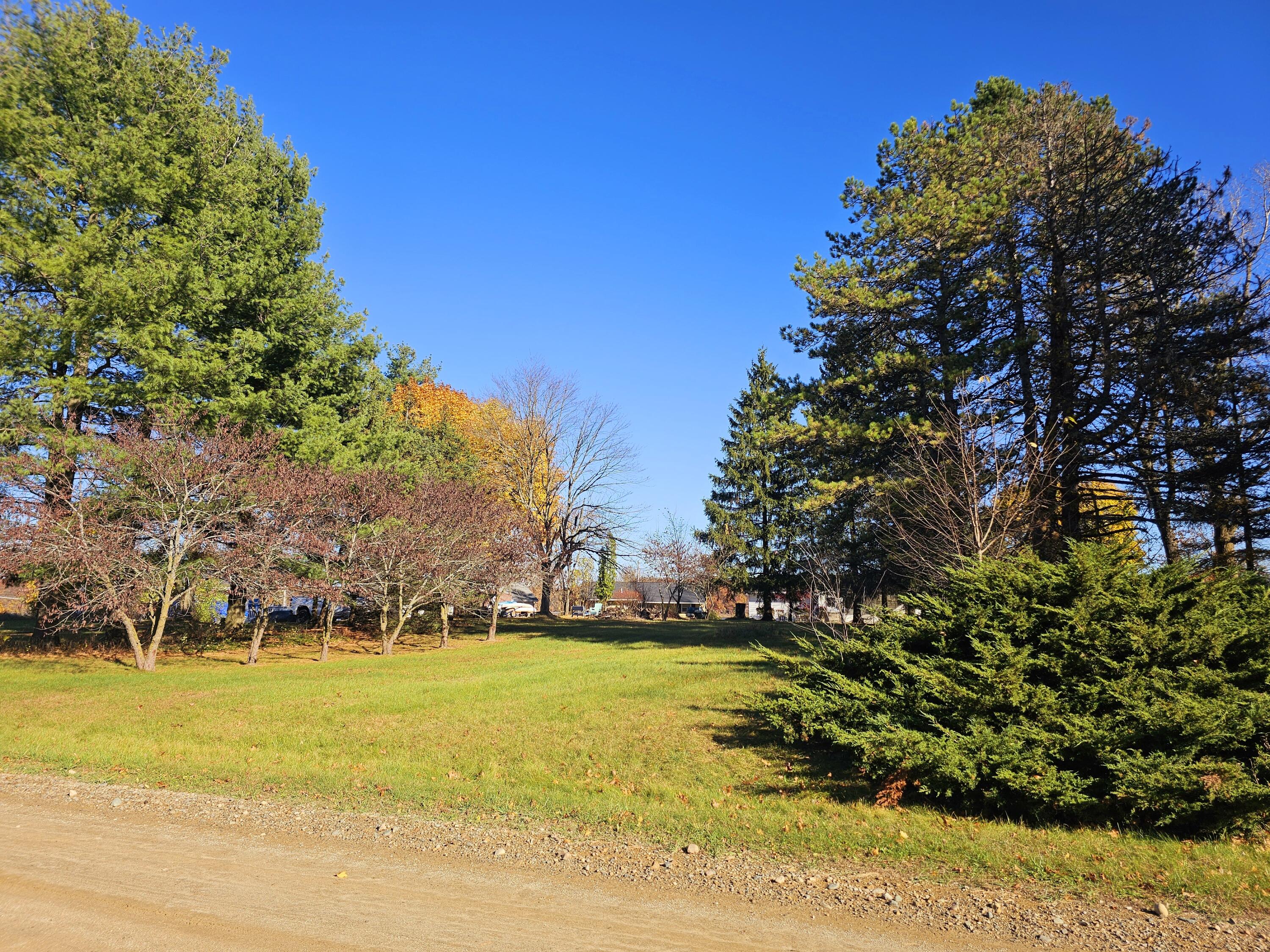 10791 Montview Drive Property Photo 20
