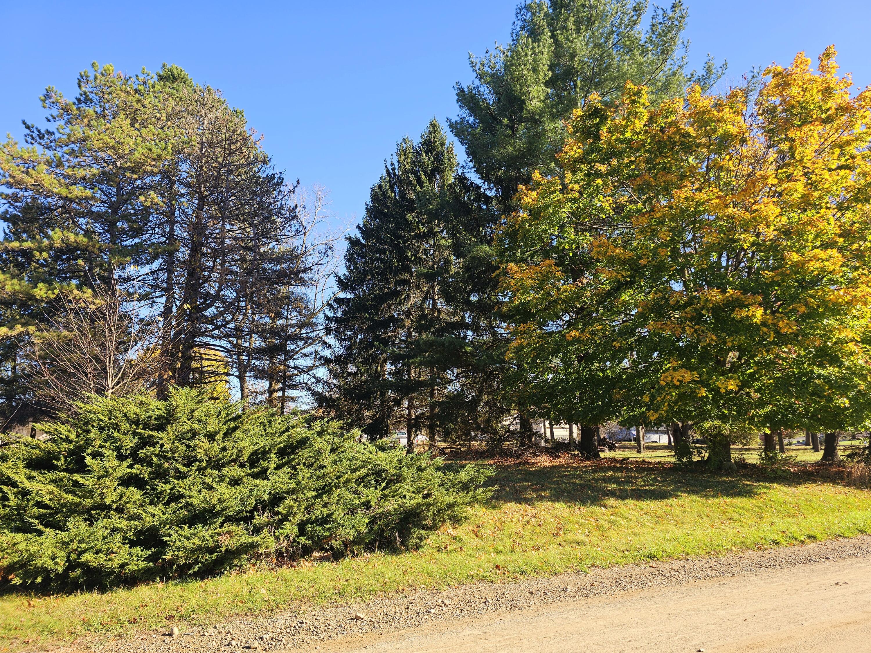 10791 Montview Drive Property Photo 21