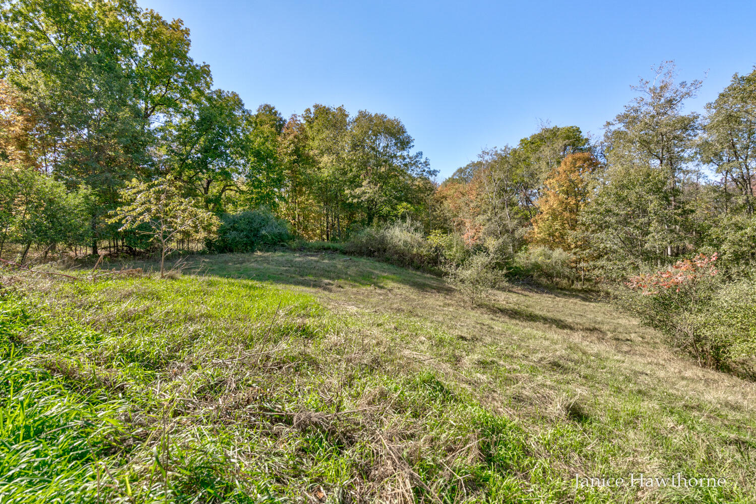 V/l Head Lake Road Property Photo 6