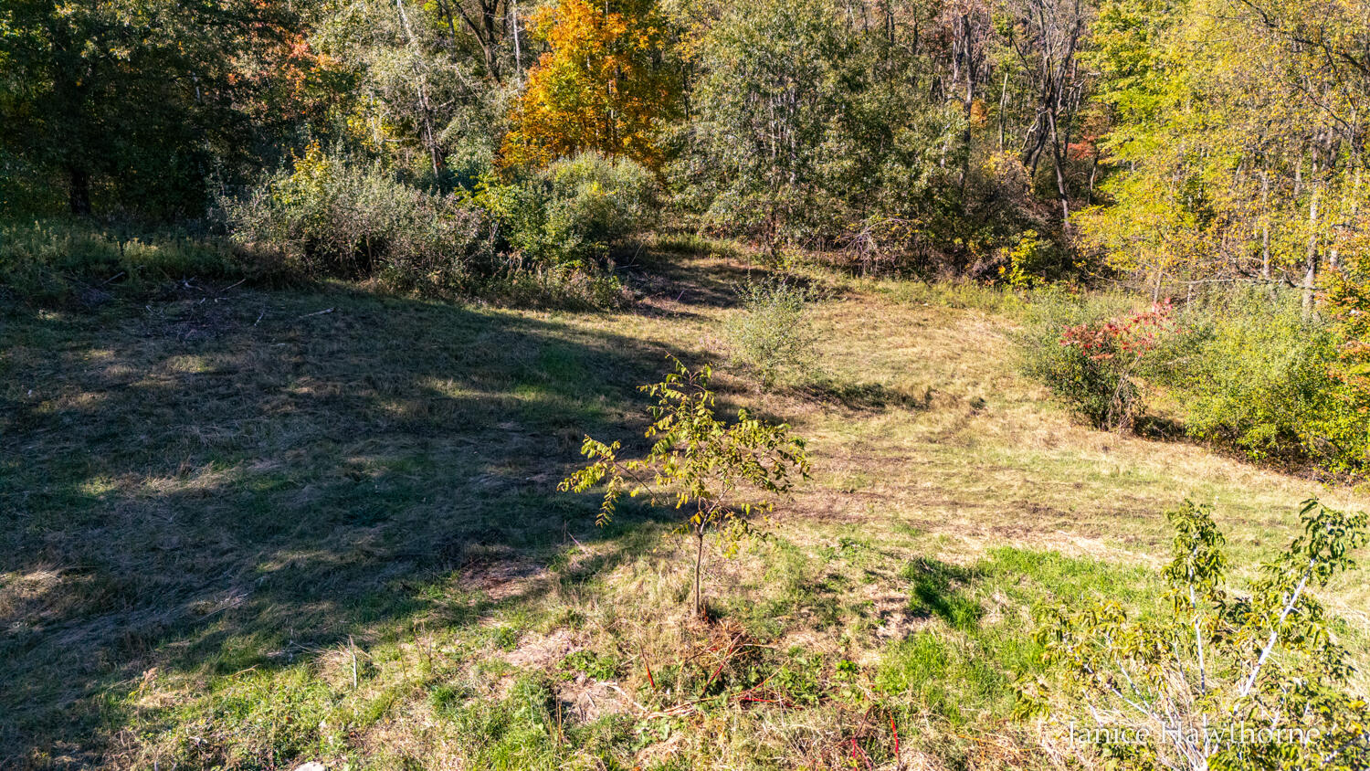 V/l Head Lake Road Property Photo 19