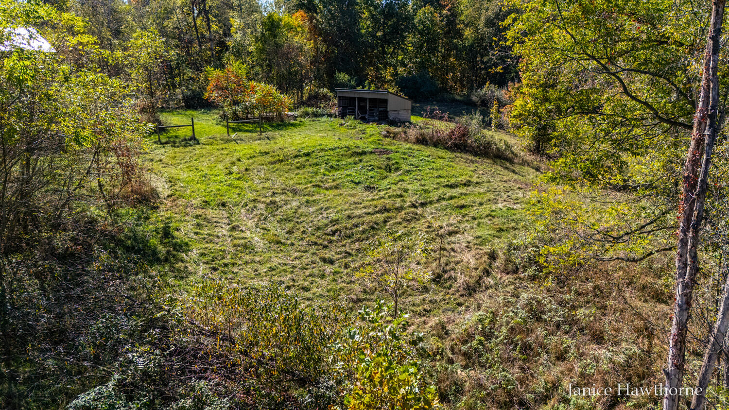 V/l Head Lake Road Property Photo 21