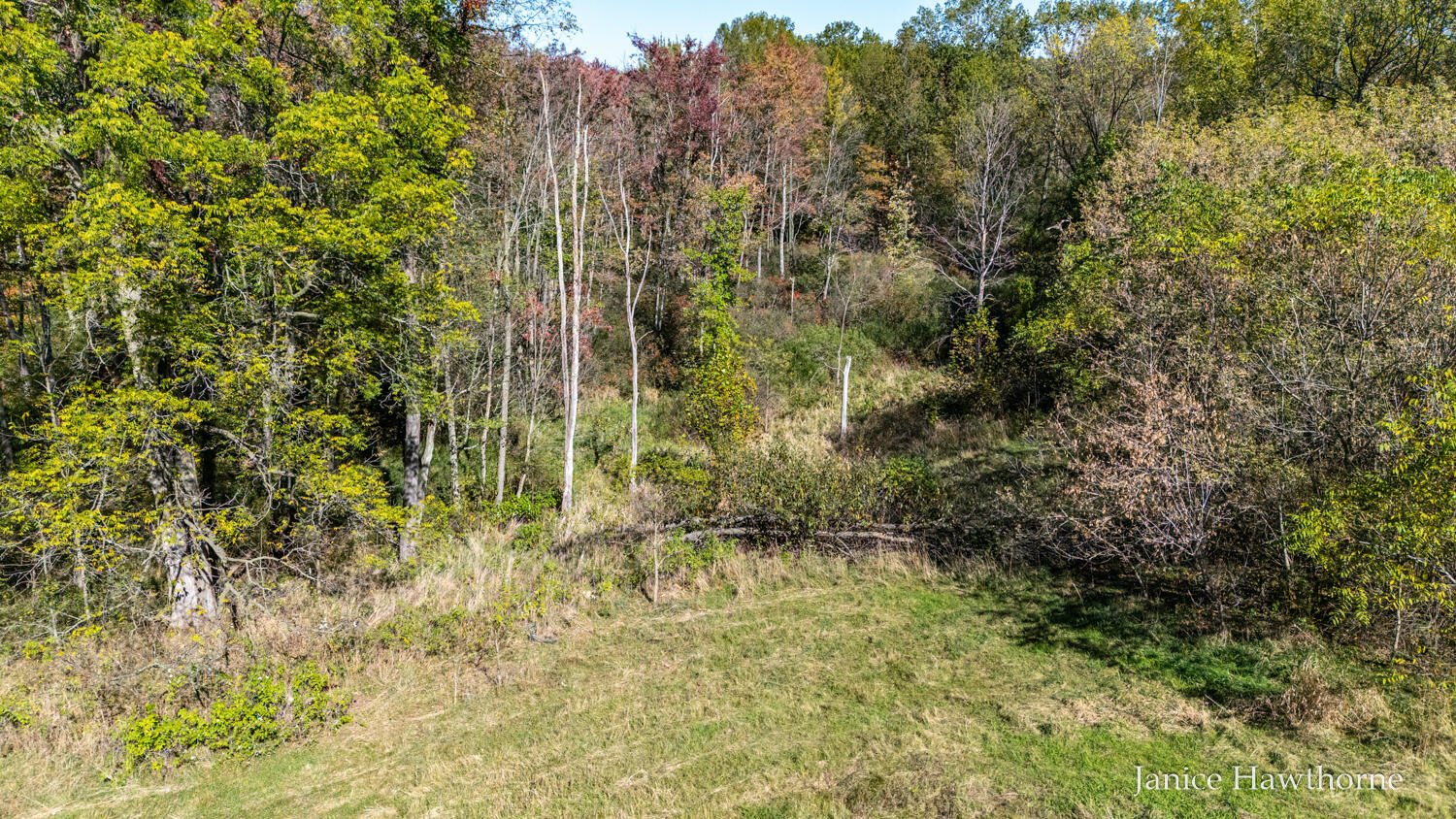 V/l Head Lake Road Property Photo 54