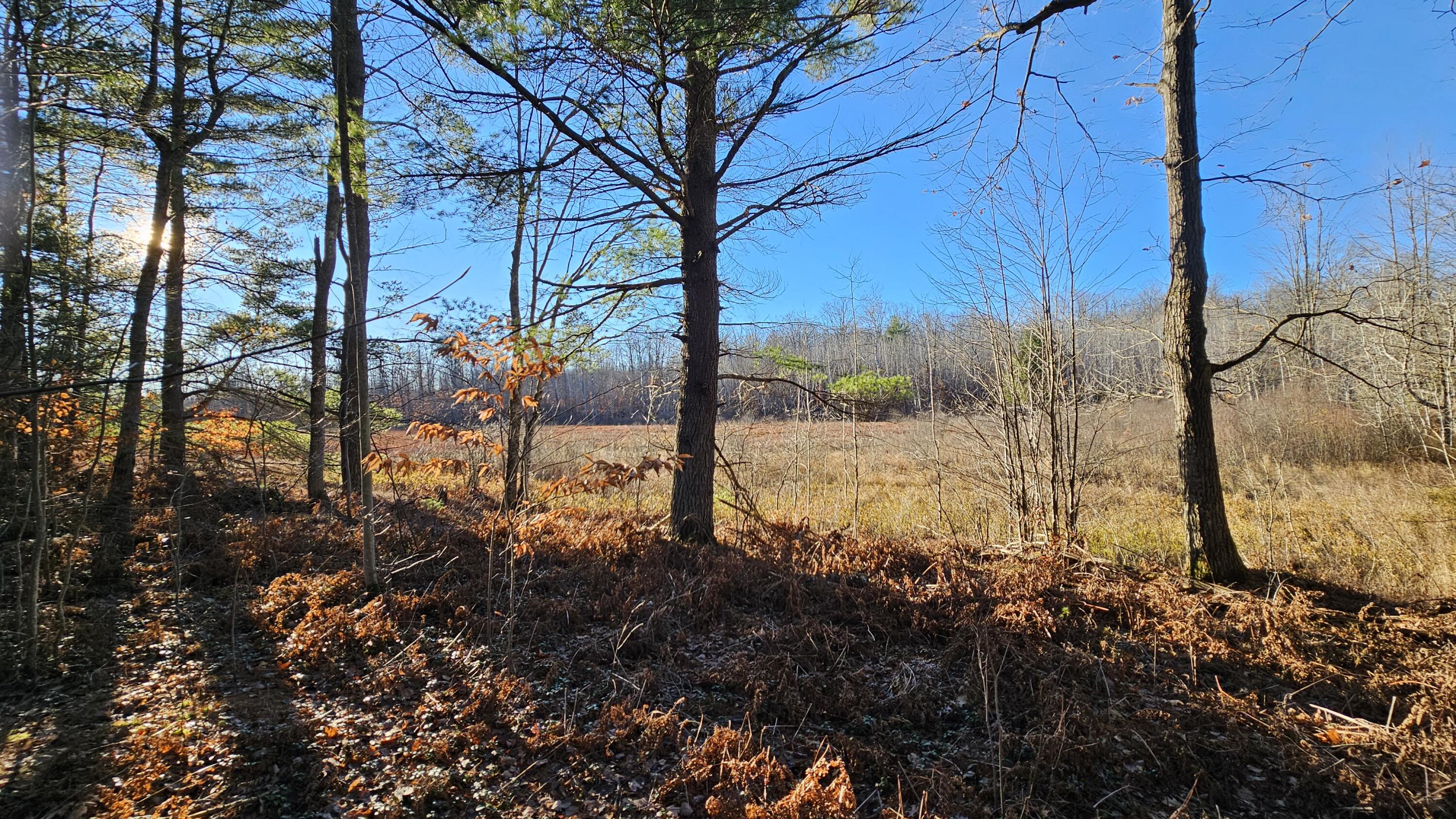 1621 Baker Road Ne Property Photo 5