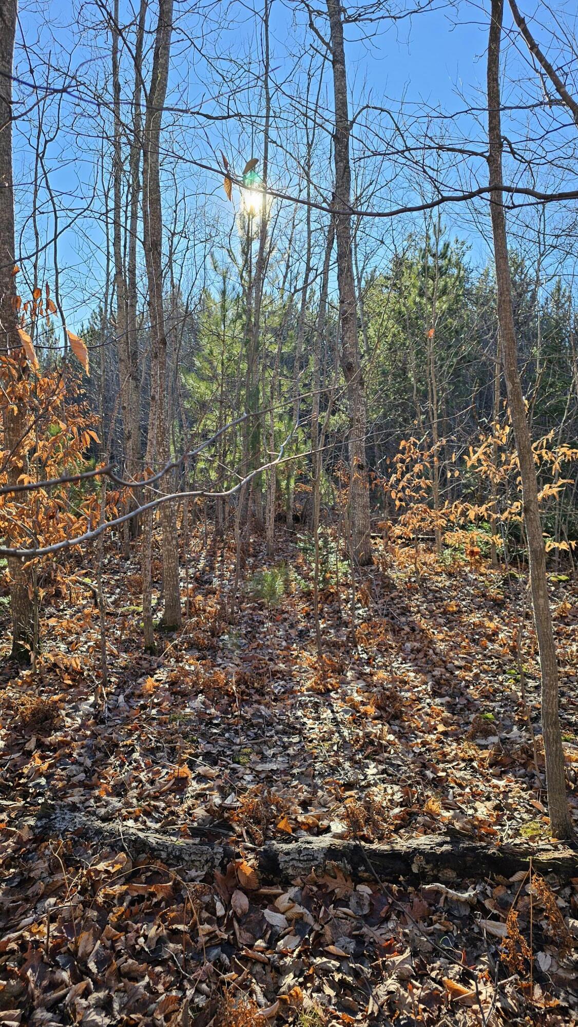 1621 Baker Road Ne Property Photo 12