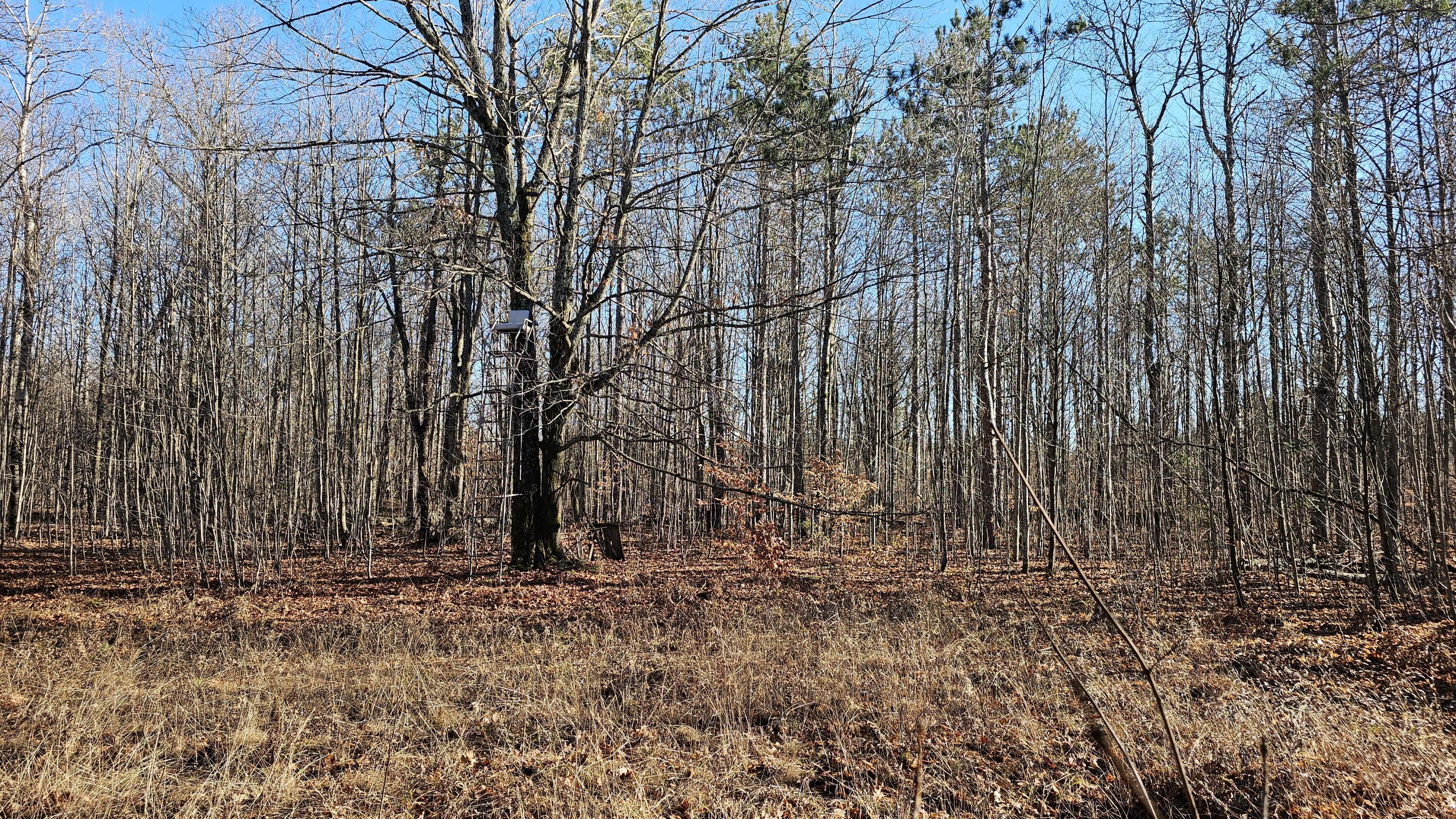 1621 Baker Road Ne Property Photo 16
