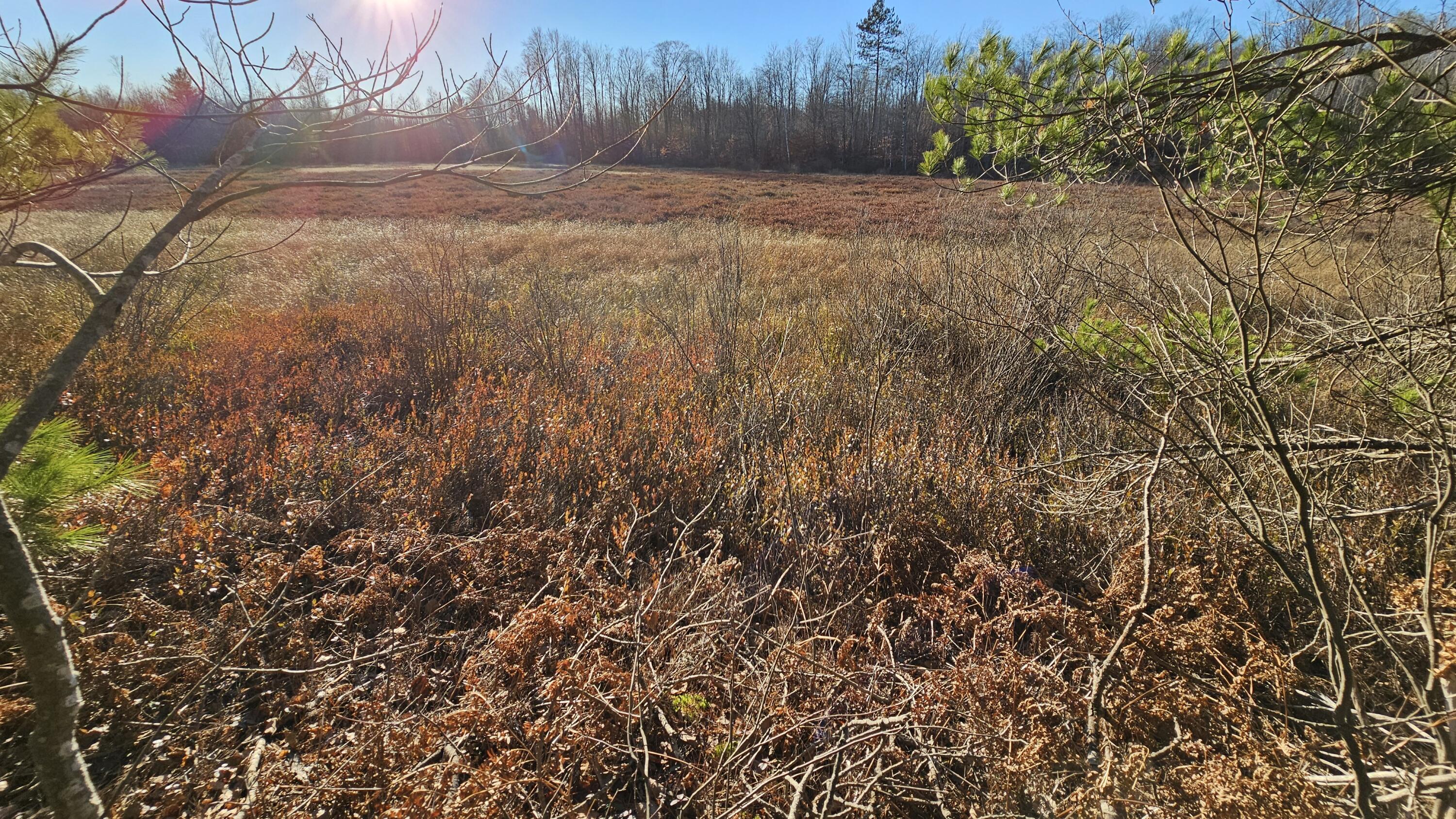 1621 Baker Road Ne Property Photo 18