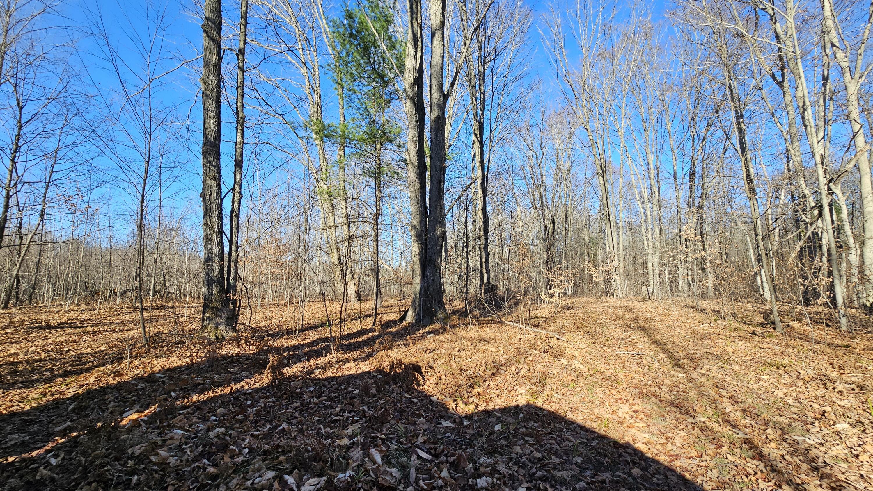 1621 Baker Road Ne Property Photo 21