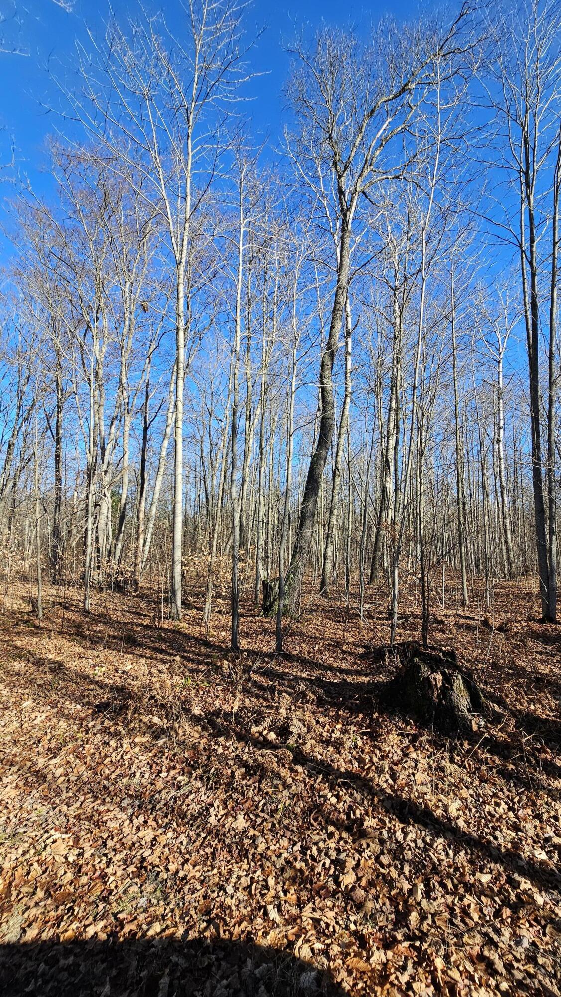 1621 Baker Road Ne Property Photo 23