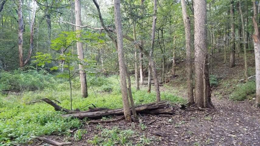 4750 Hunsberger Avenue Ne Property Photo 11