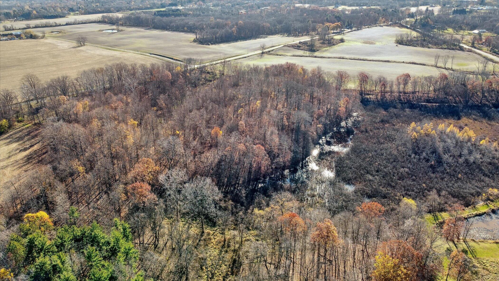 15416 Broceus School Road Property Photo 23