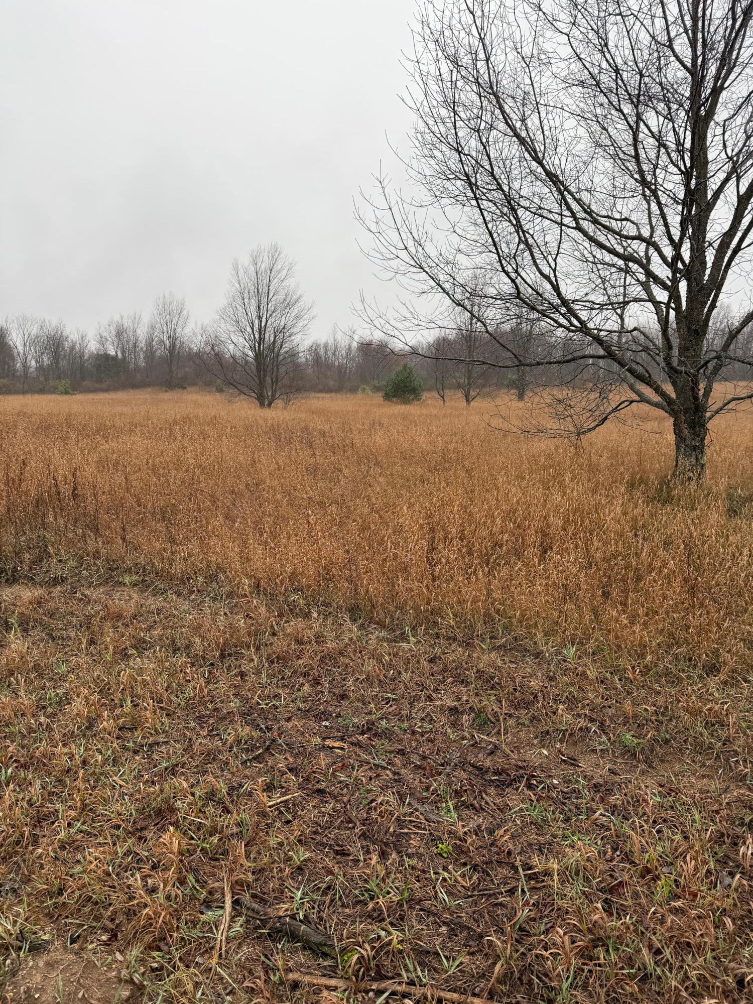 Tannerville Property Photo