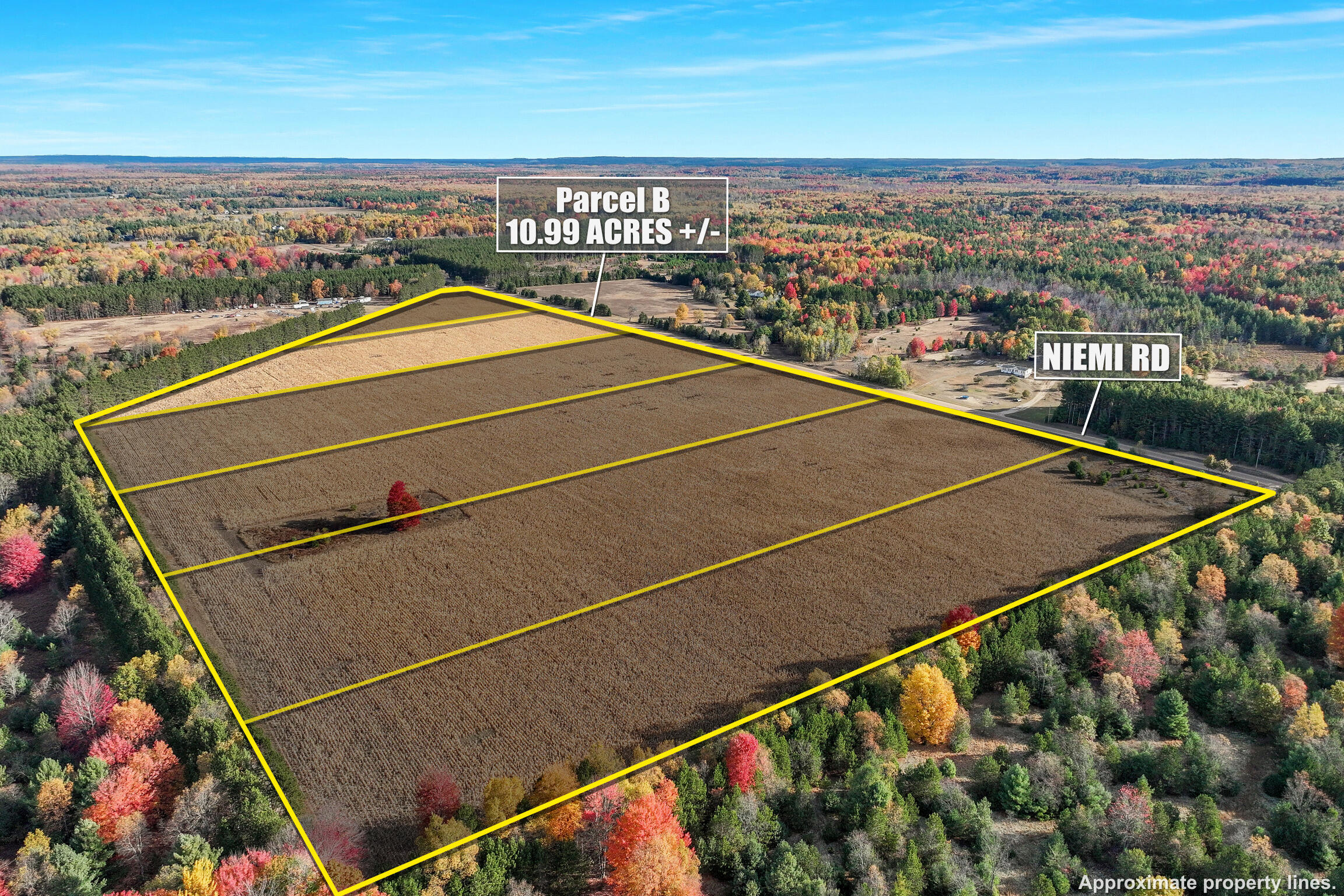 0 V/l 10.99 Acres Niemi Road, Parcel B Property Photo 3