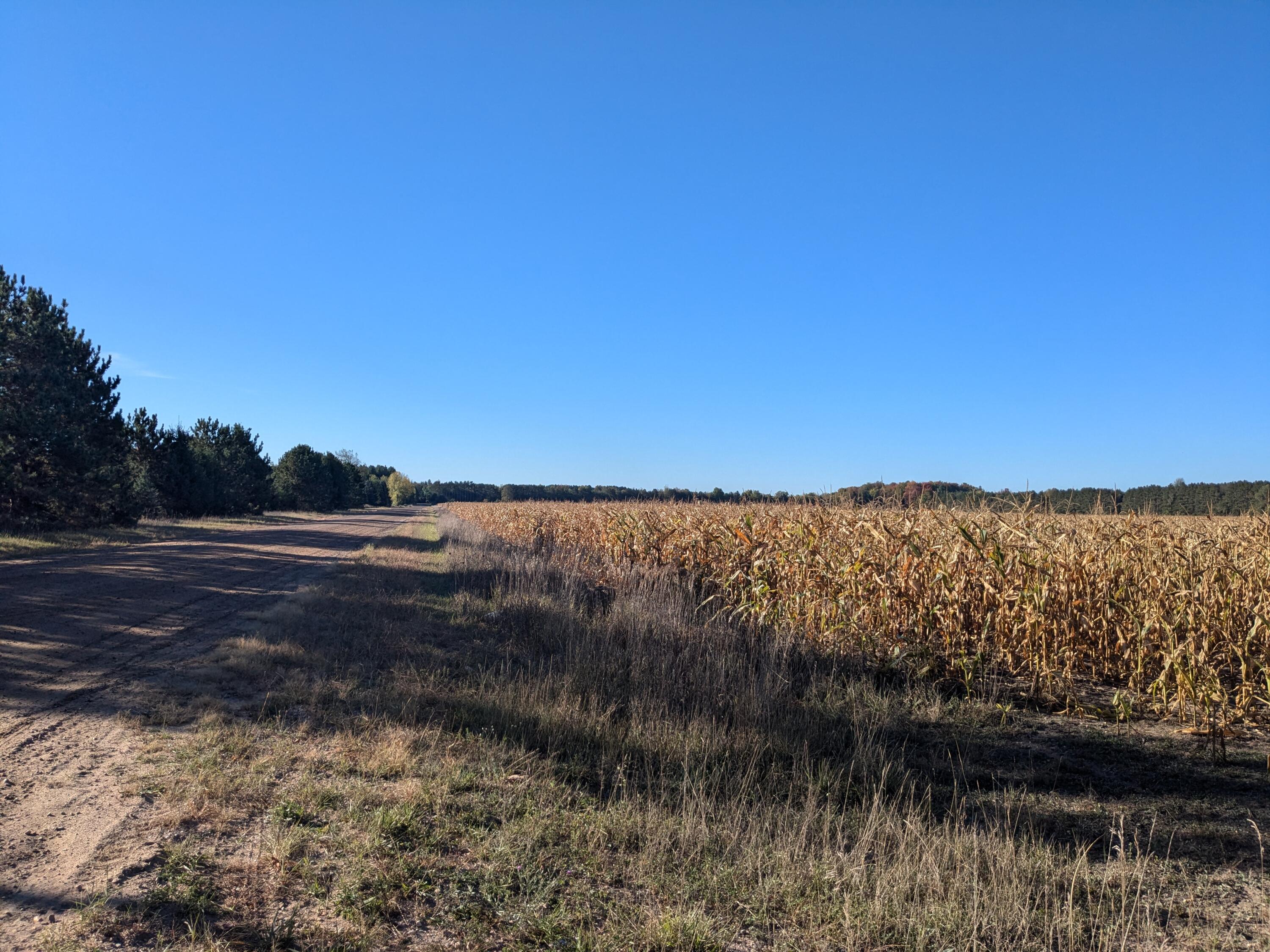 0 V/l 12.15 Acres Niemi Road, Parcel A Property Photo 5
