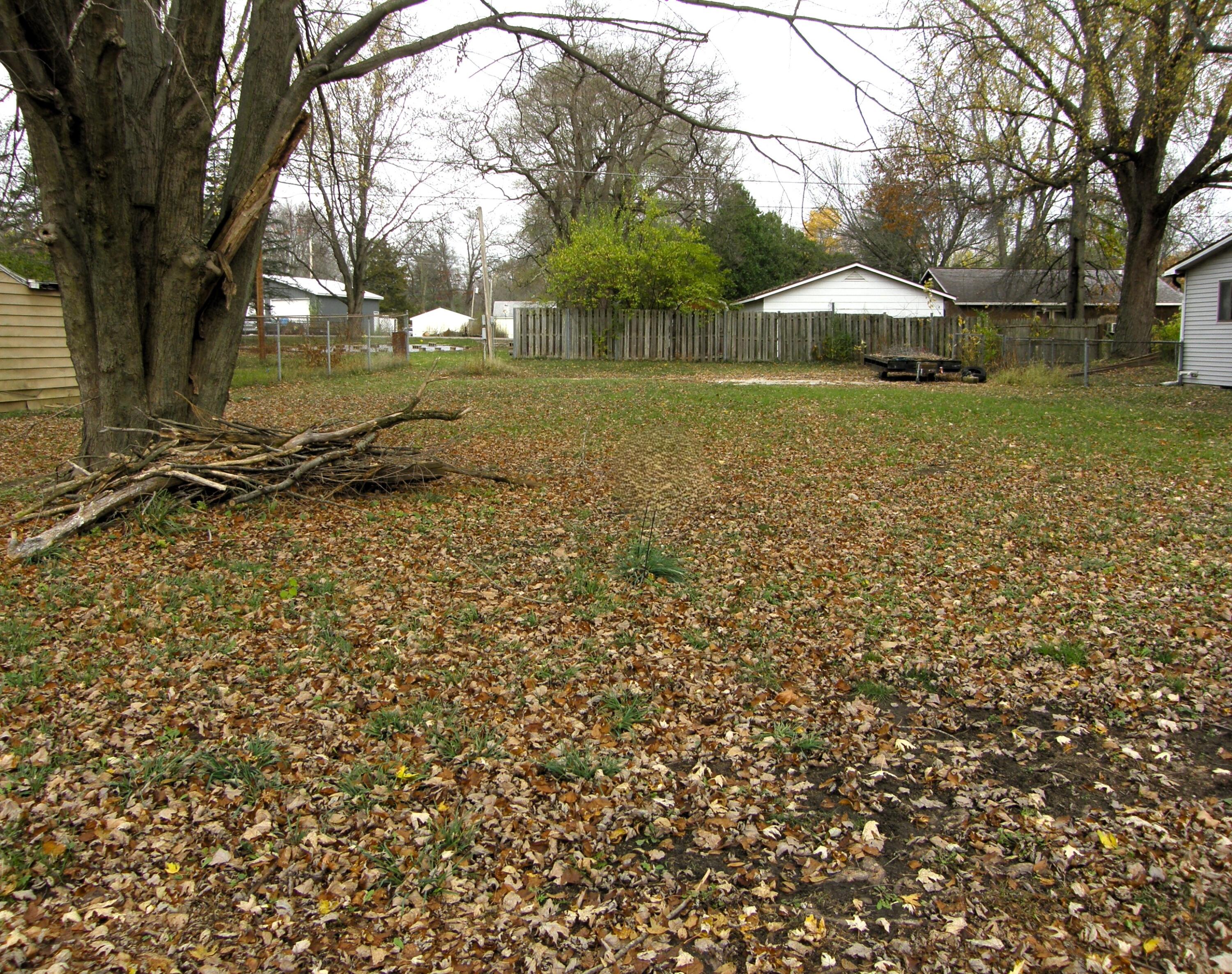 2541 Holly Street Property Photo 1
