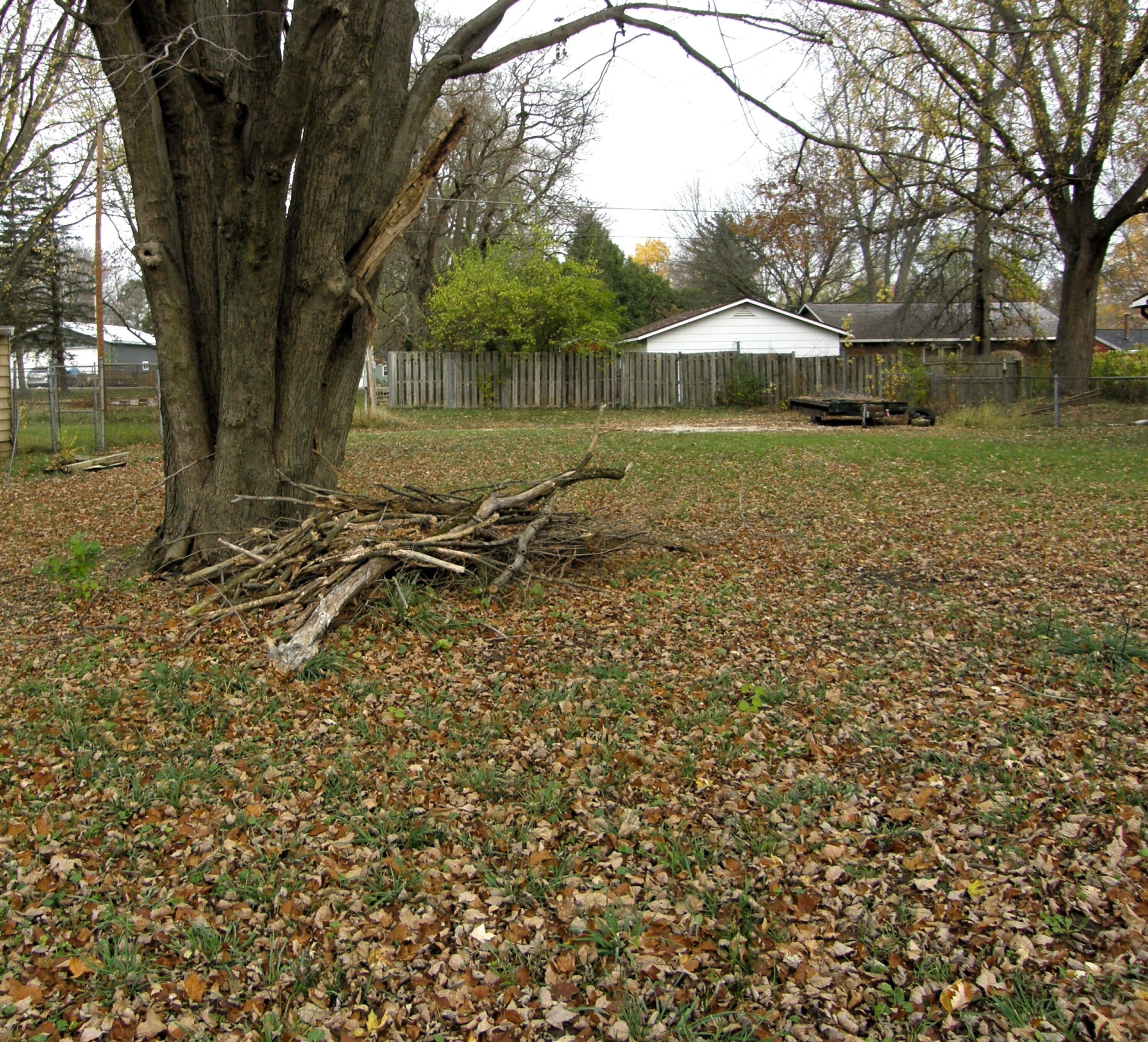 2541 Holly Street Property Photo 4