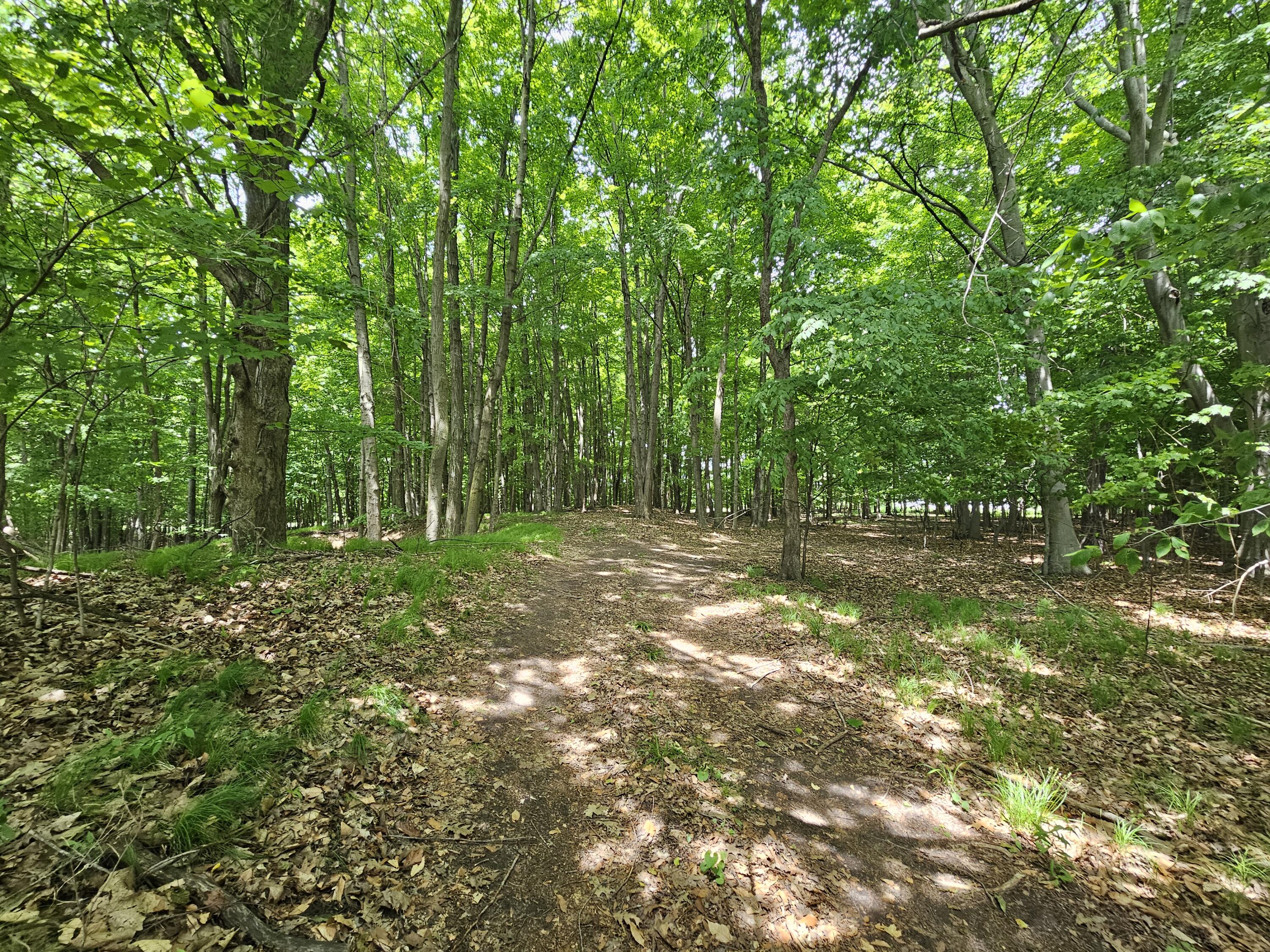 V/l Waterwheel Road Property Photo 2