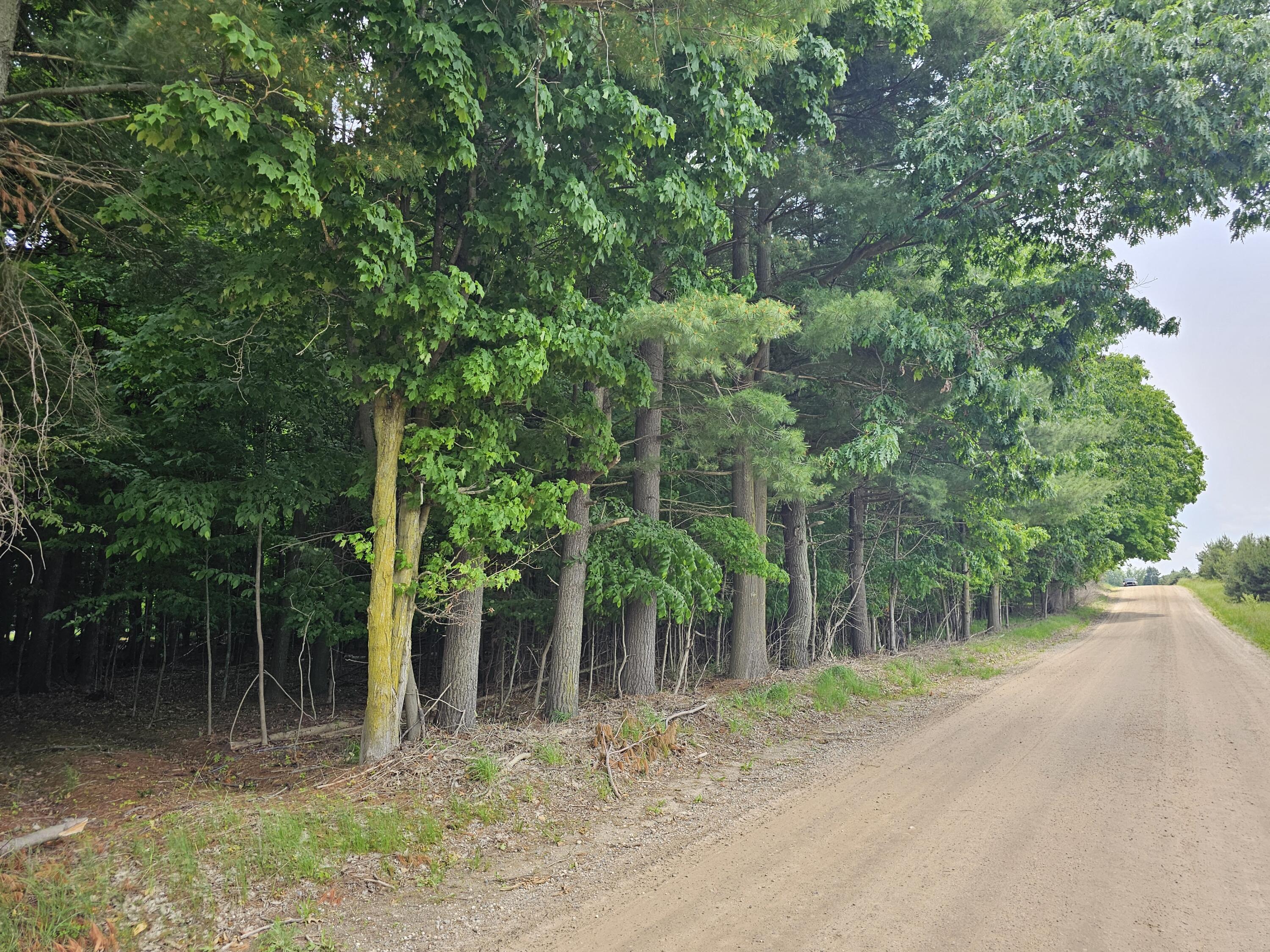 V/l Waterwheel Road Property Photo 3