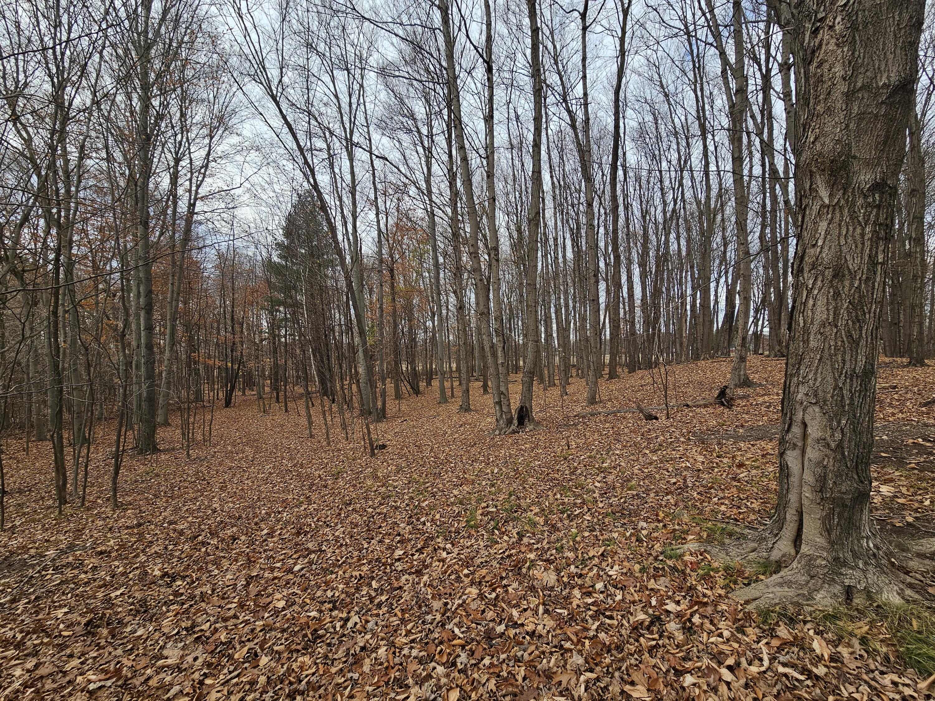 V/l Waterwheel Road Property Photo 4