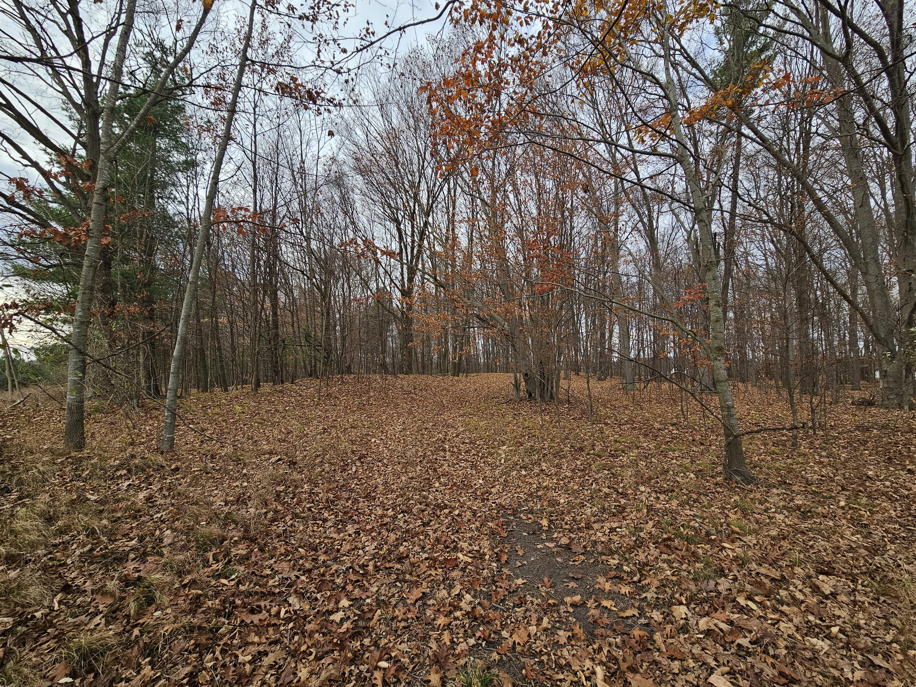 V/l Waterwheel Road Property Photo 5