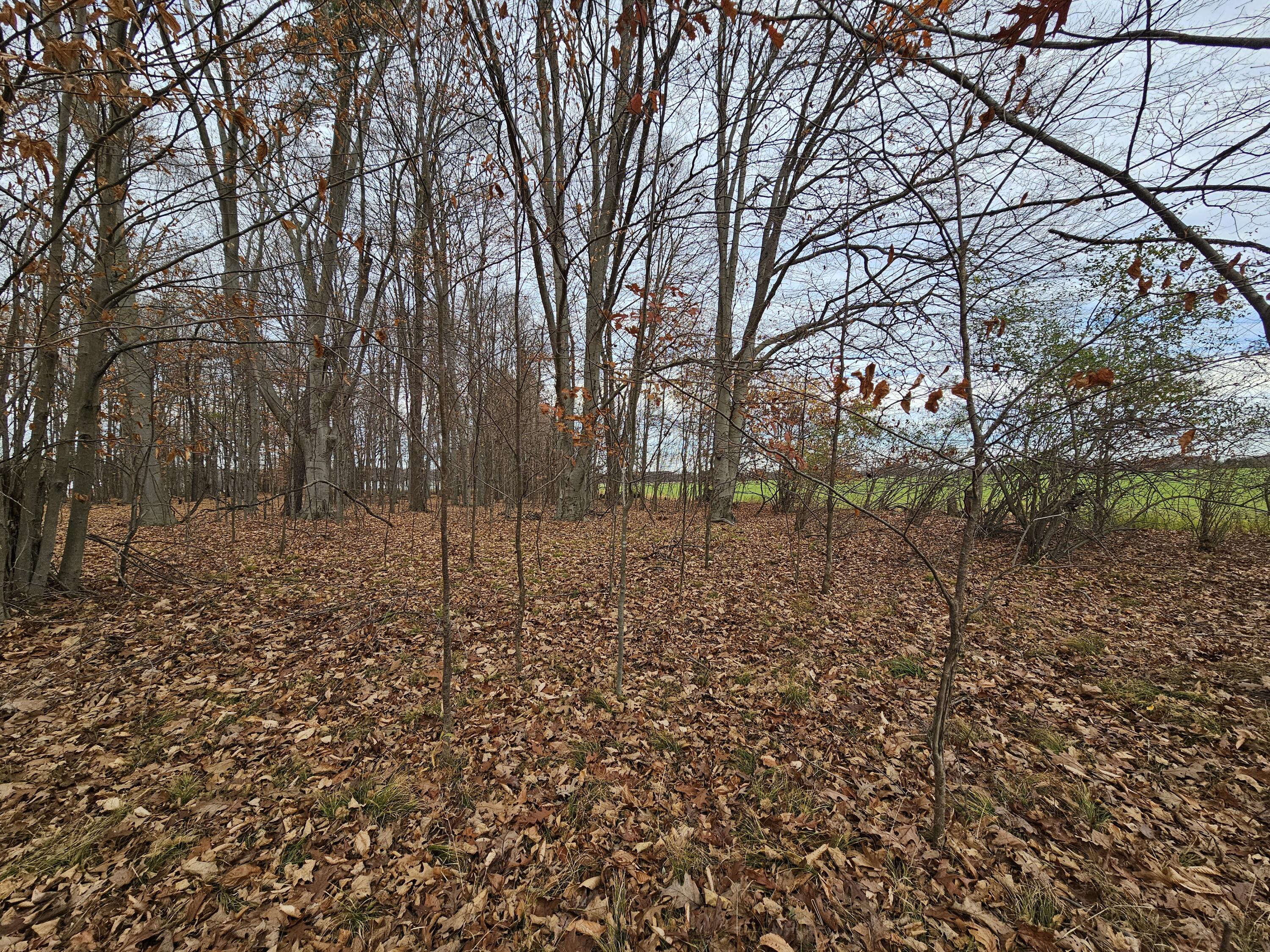 V/l Waterwheel Road Property Photo 6