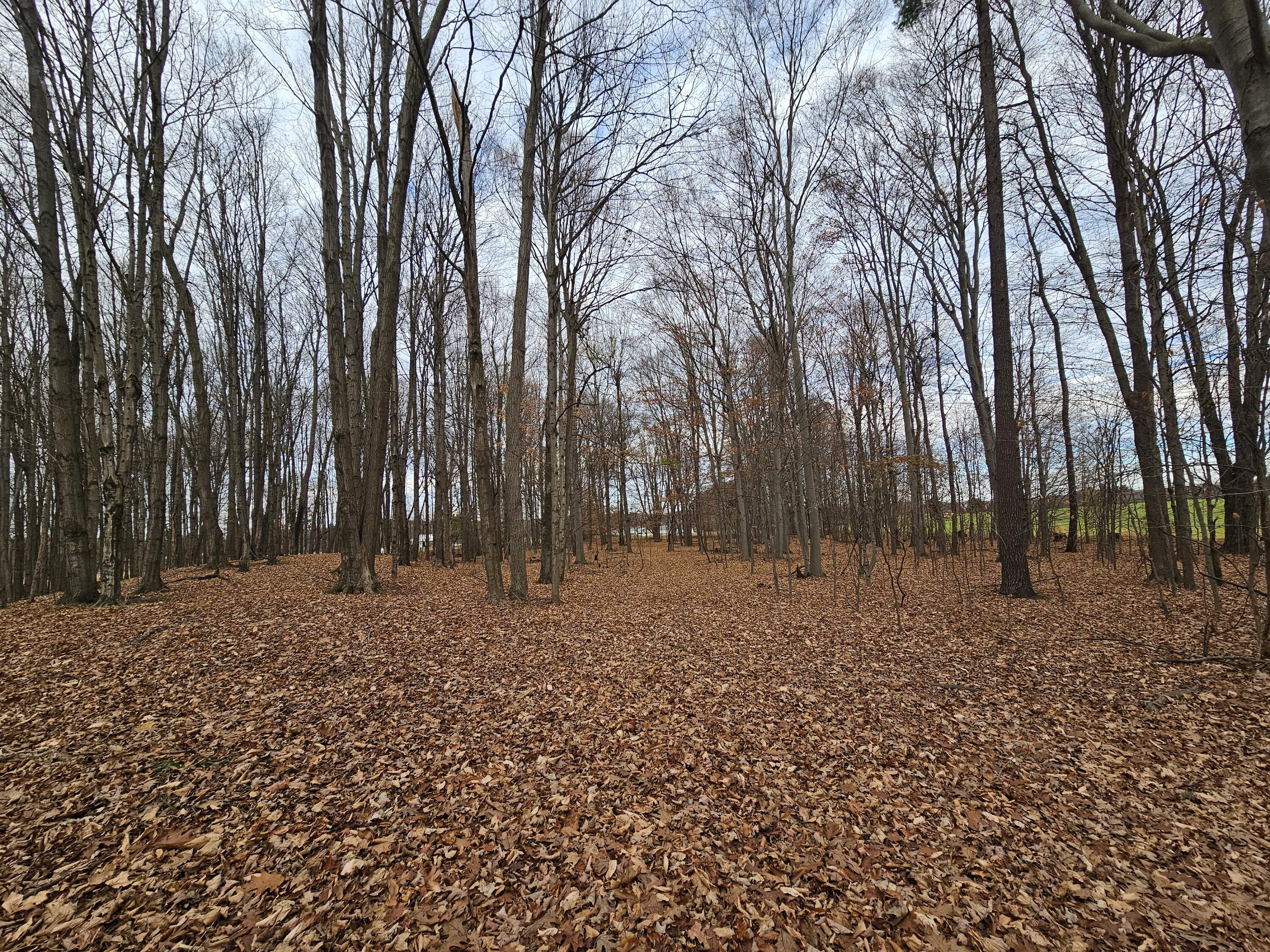 V/l Waterwheel Road Property Photo 8