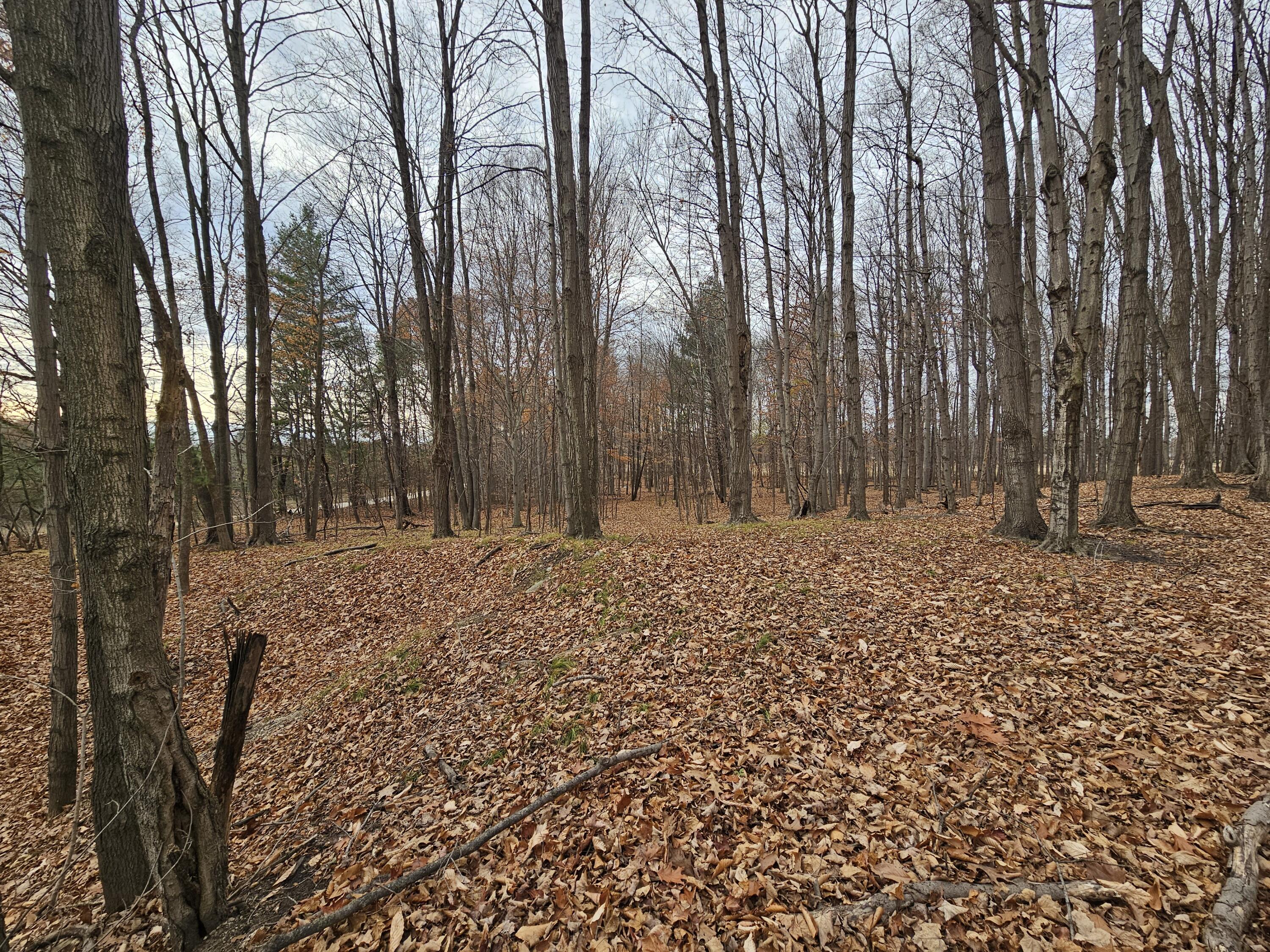 V/l Waterwheel Road Property Photo 9