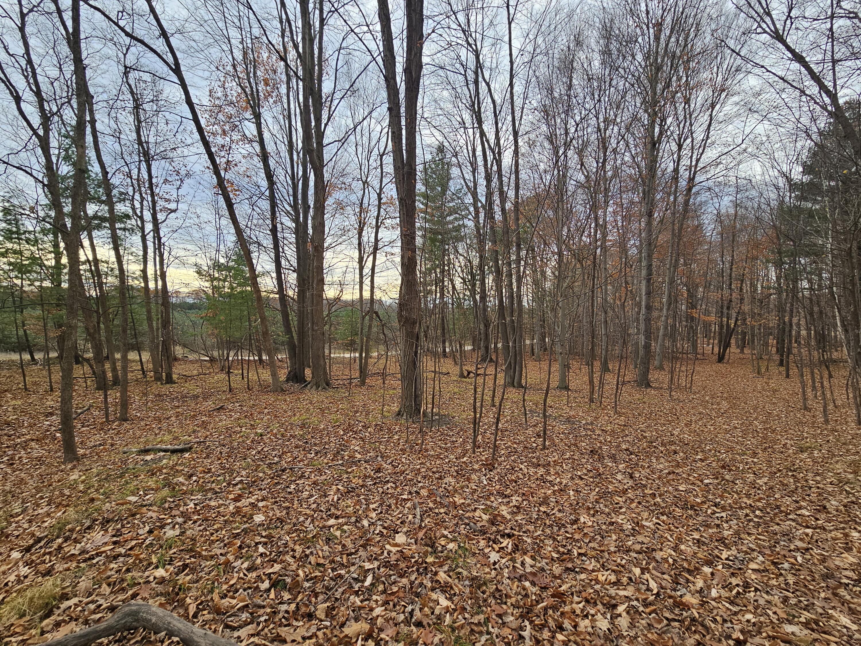 V/l Waterwheel Road Property Photo 12