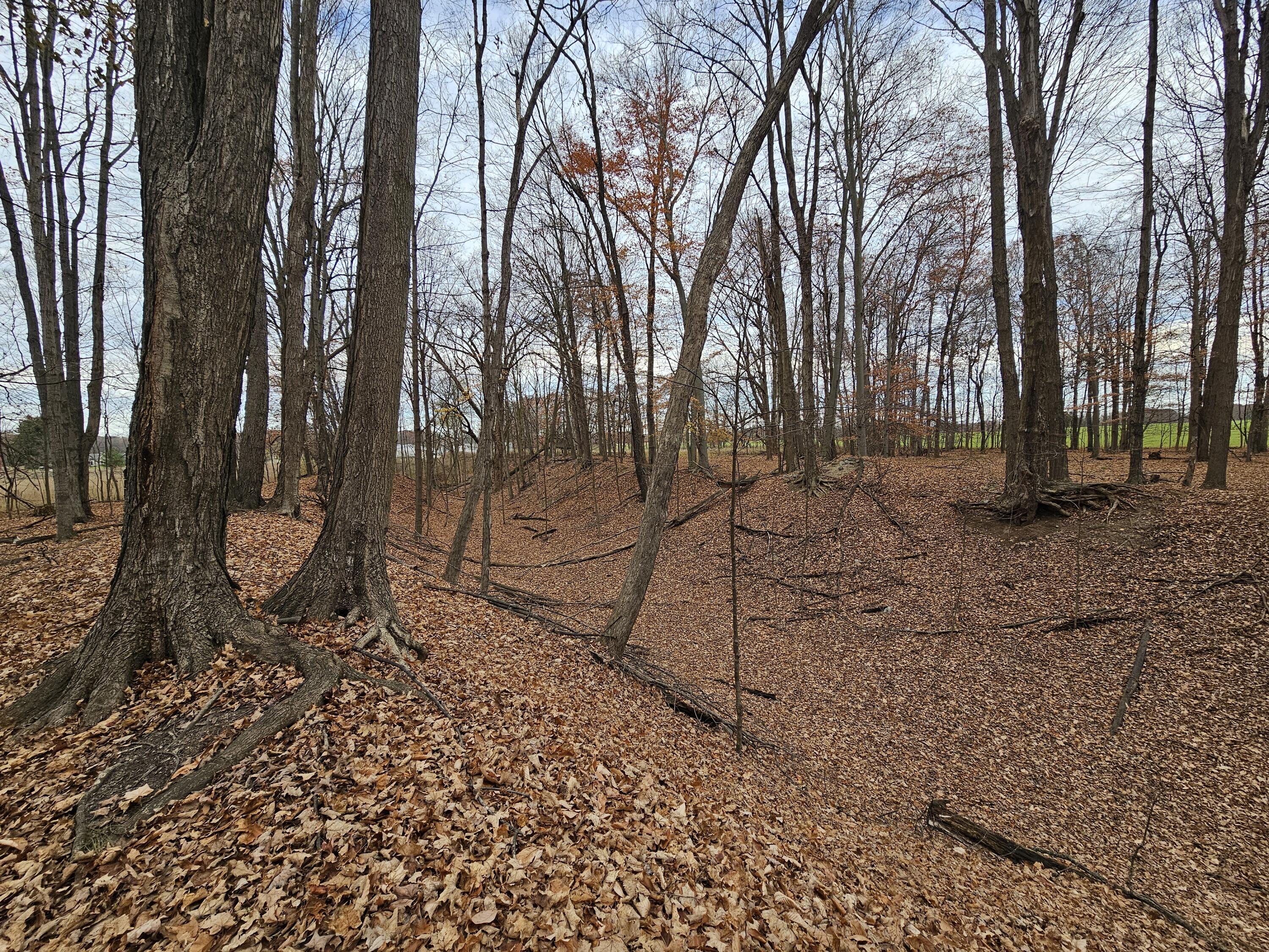 V/l Waterwheel Road Property Photo 14