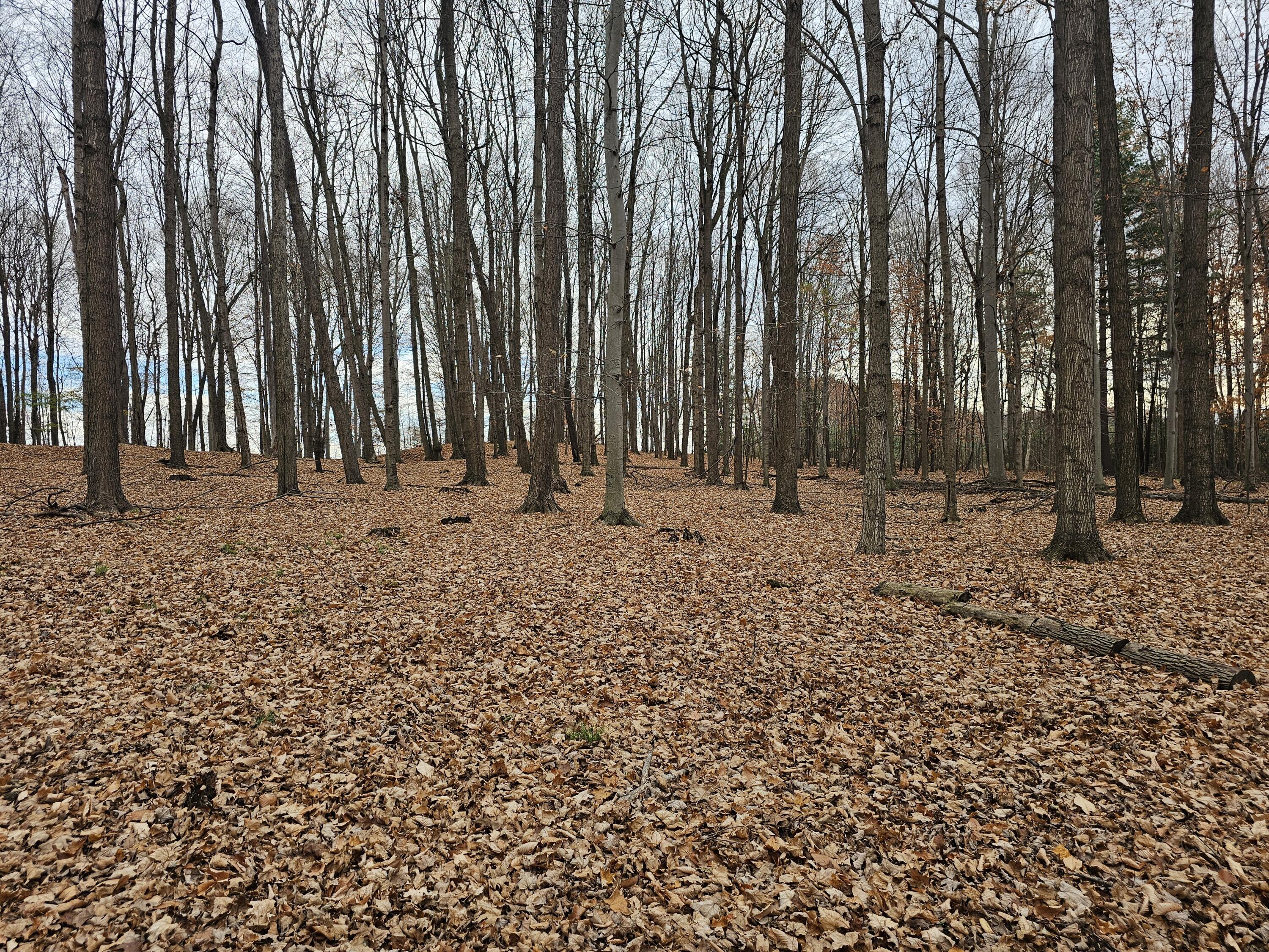 V/l Waterwheel Road Property Photo 15