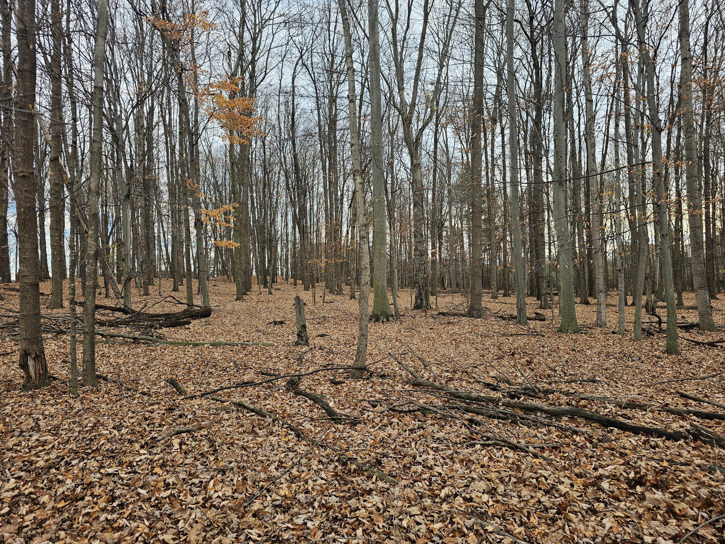 V/l Waterwheel Road Property Photo 16
