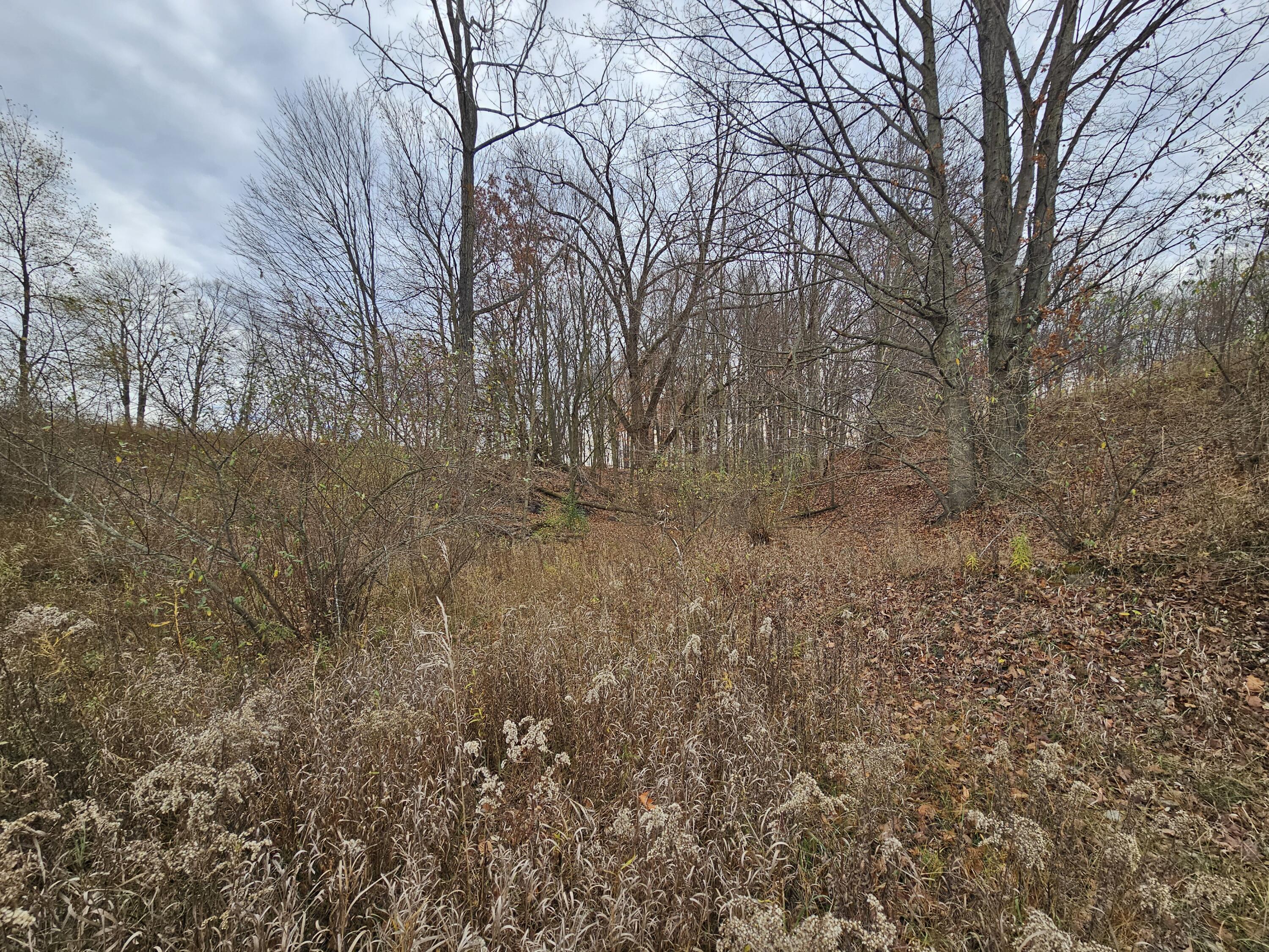 V/l Waterwheel Road Property Photo 20