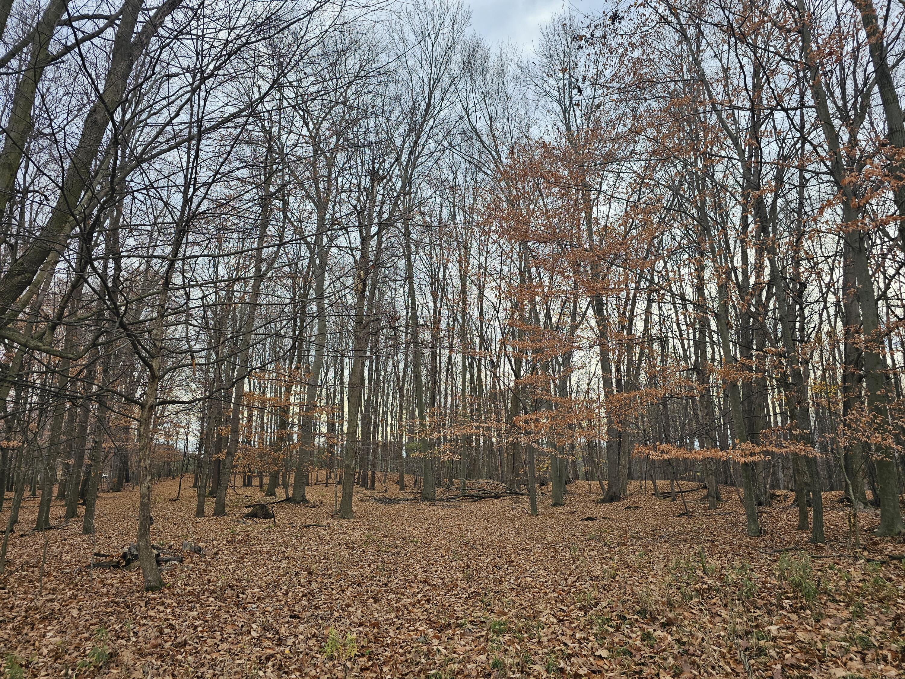 V/l Waterwheel Road Property Photo 23
