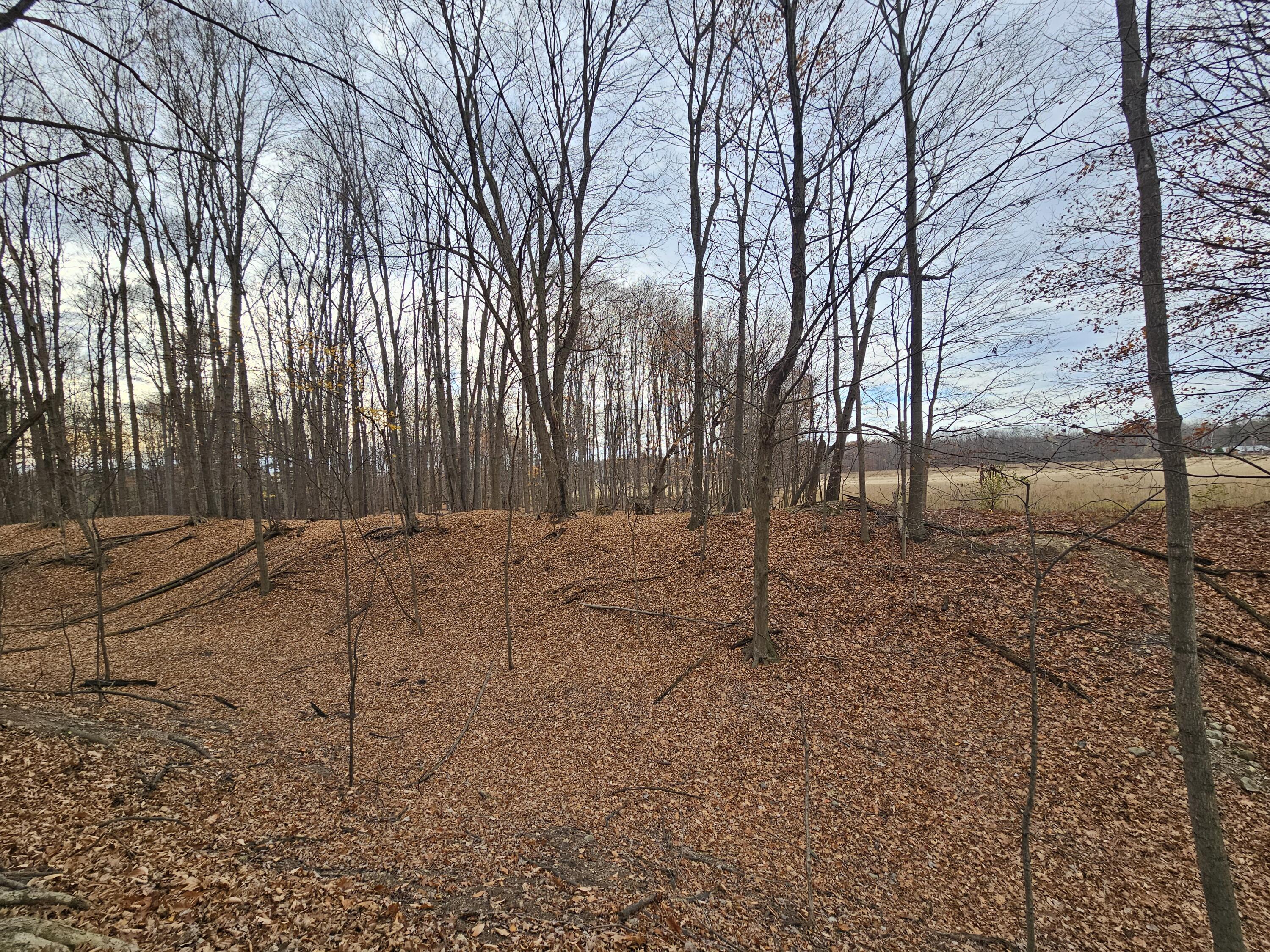 V/l Waterwheel Road Property Photo 27