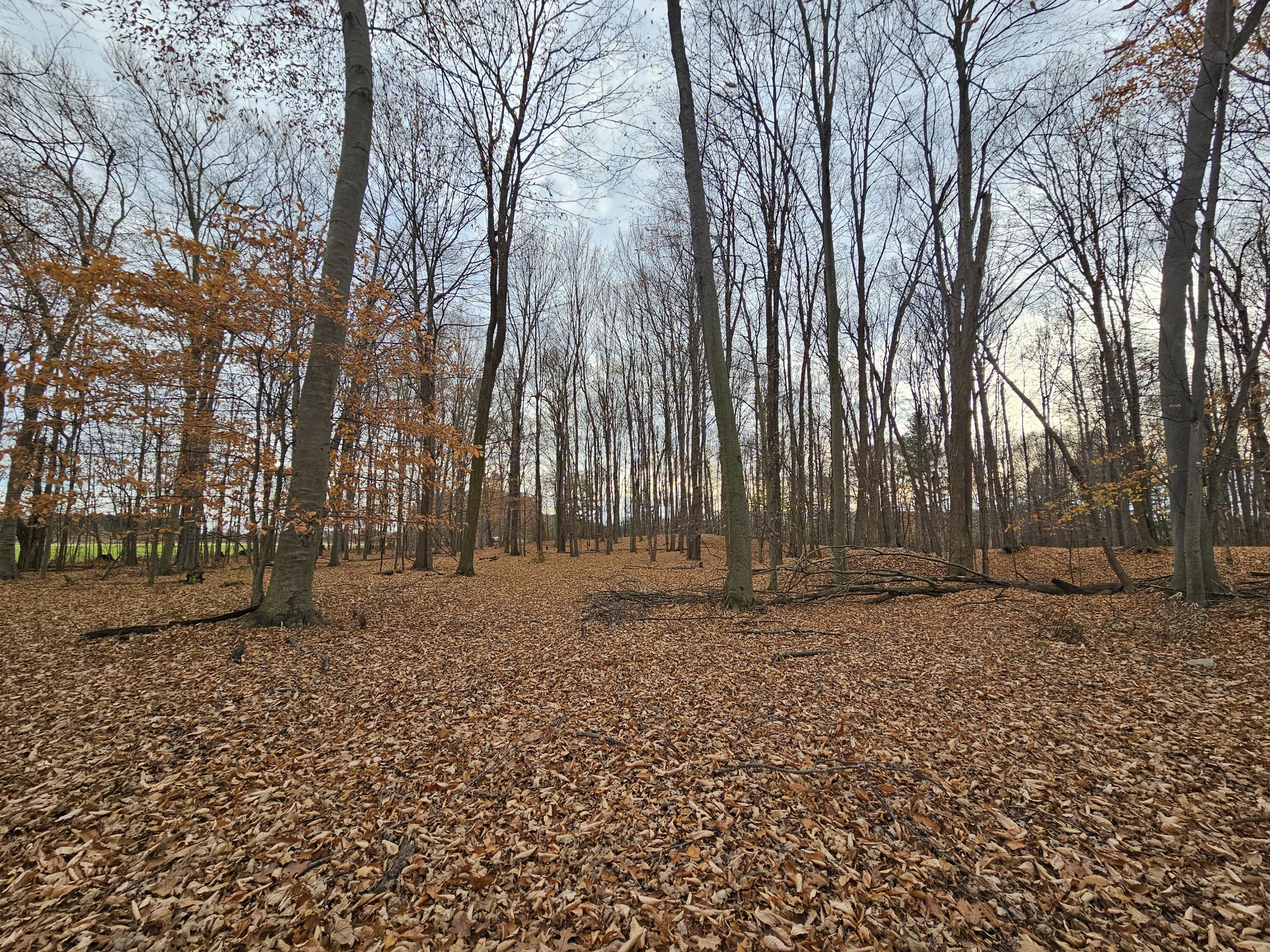 V/l Waterwheel Road Property Photo 28
