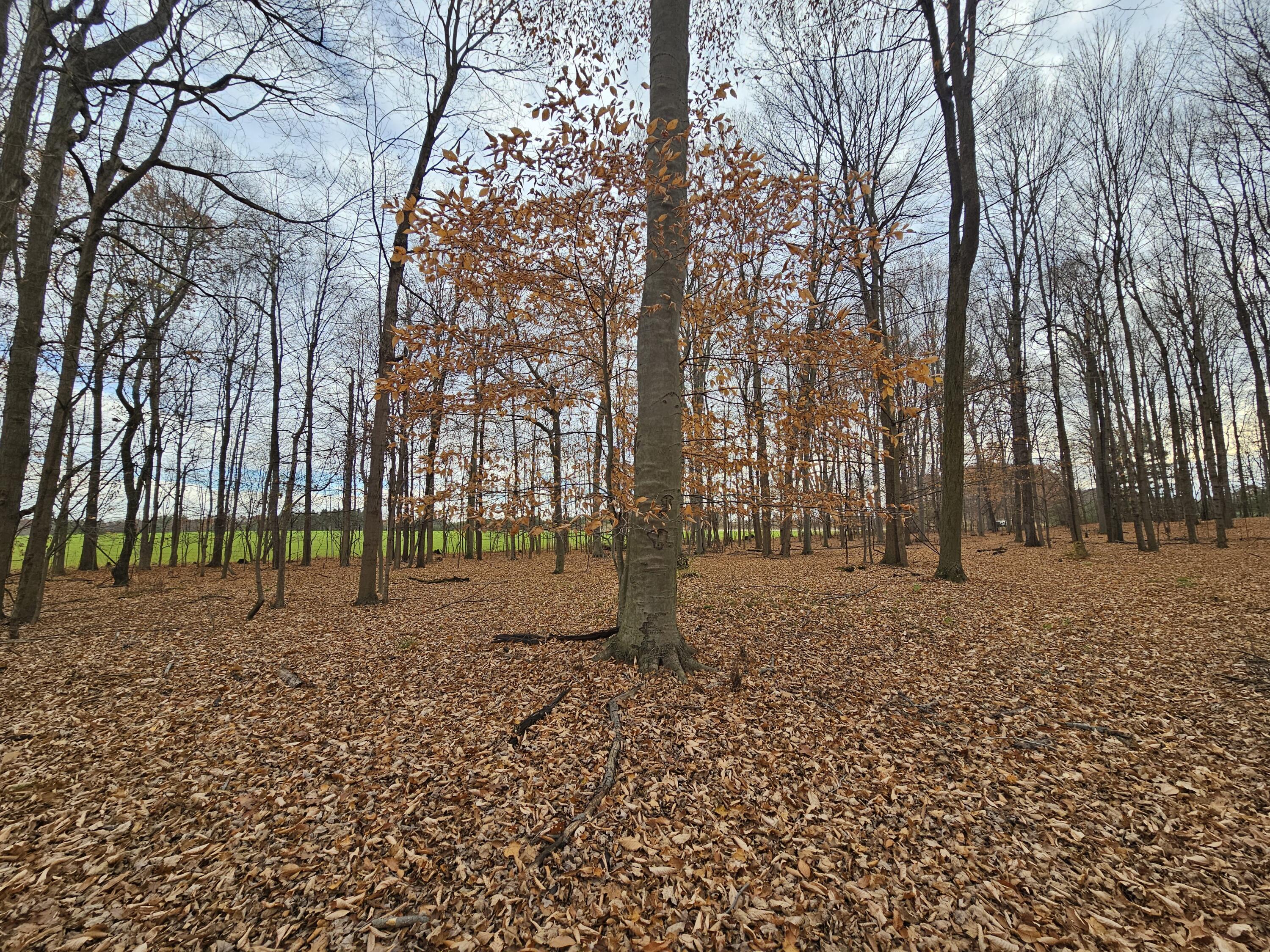 V/l Waterwheel Road Property Photo 29