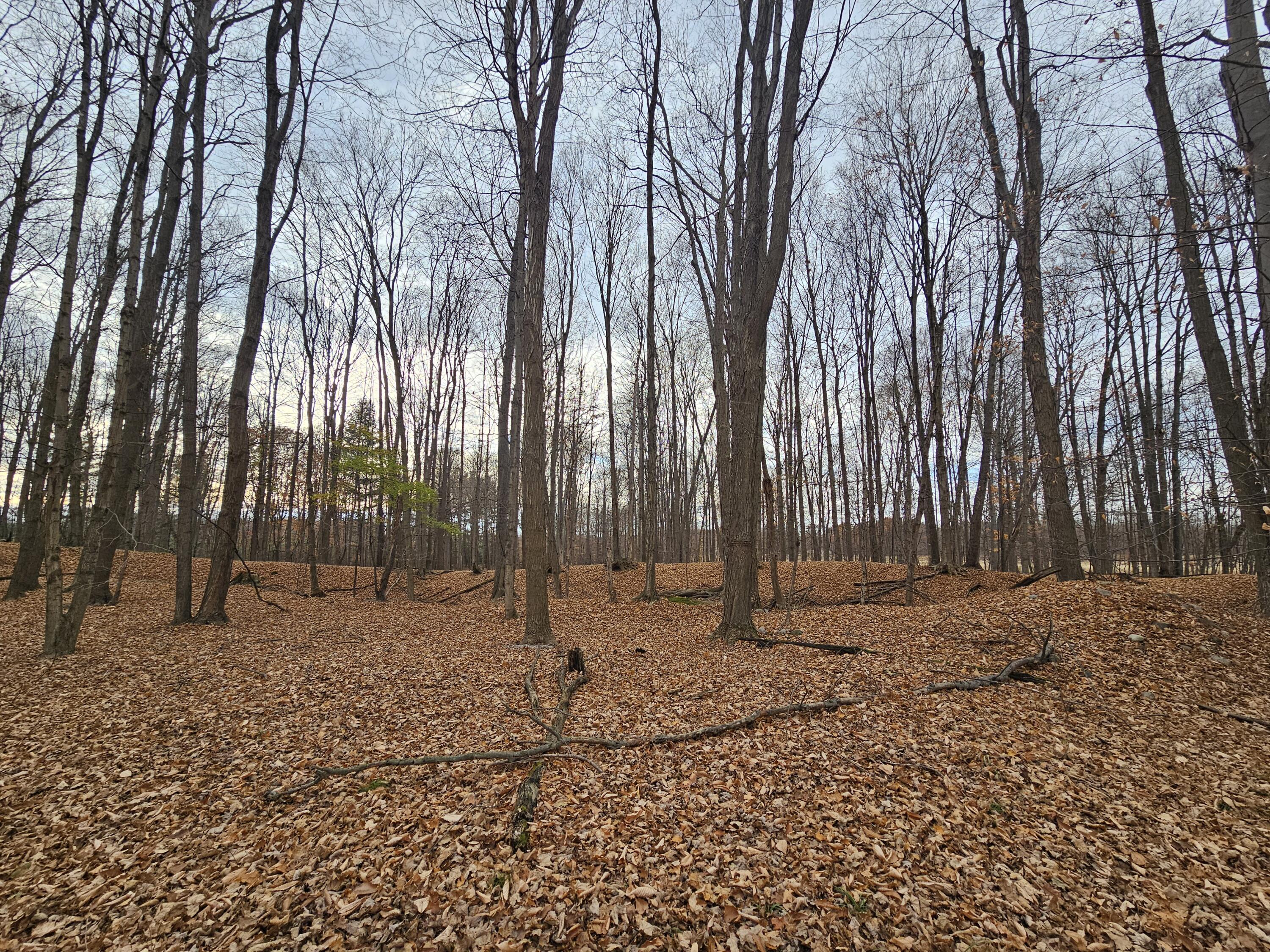 V/l Waterwheel Road Property Photo 30