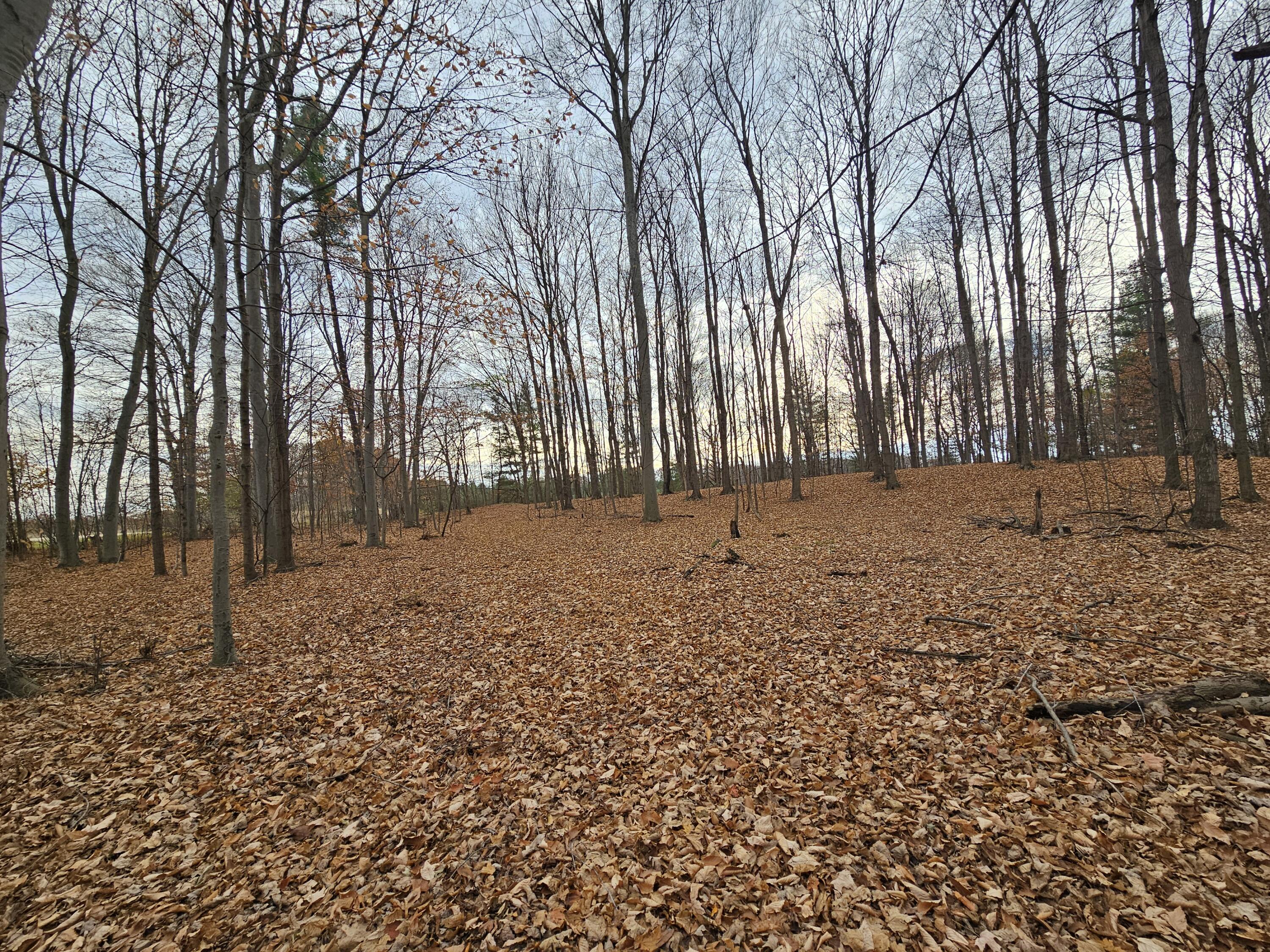 V/l Waterwheel Road Property Photo 31