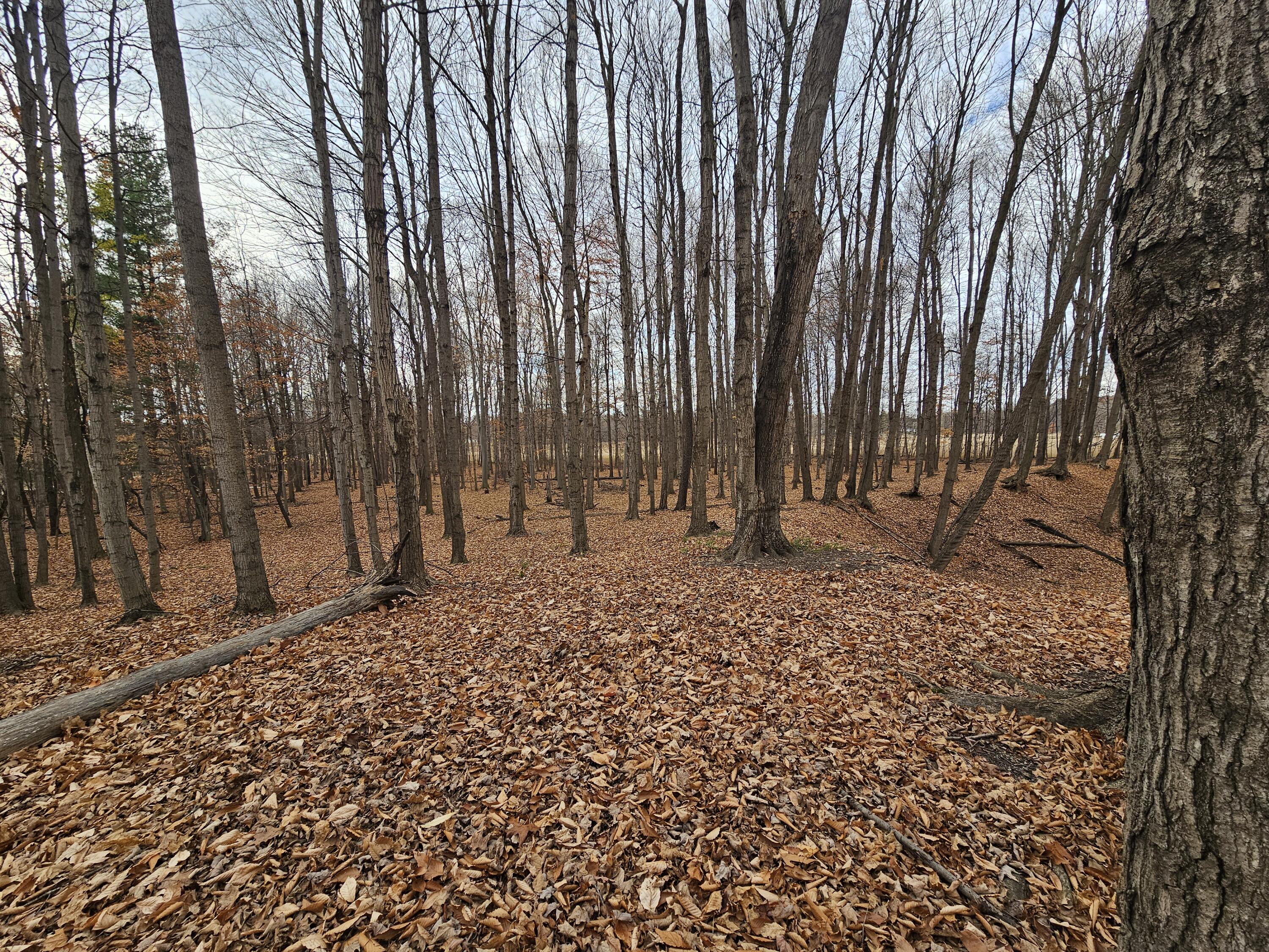 V/l Waterwheel Road Property Photo 32
