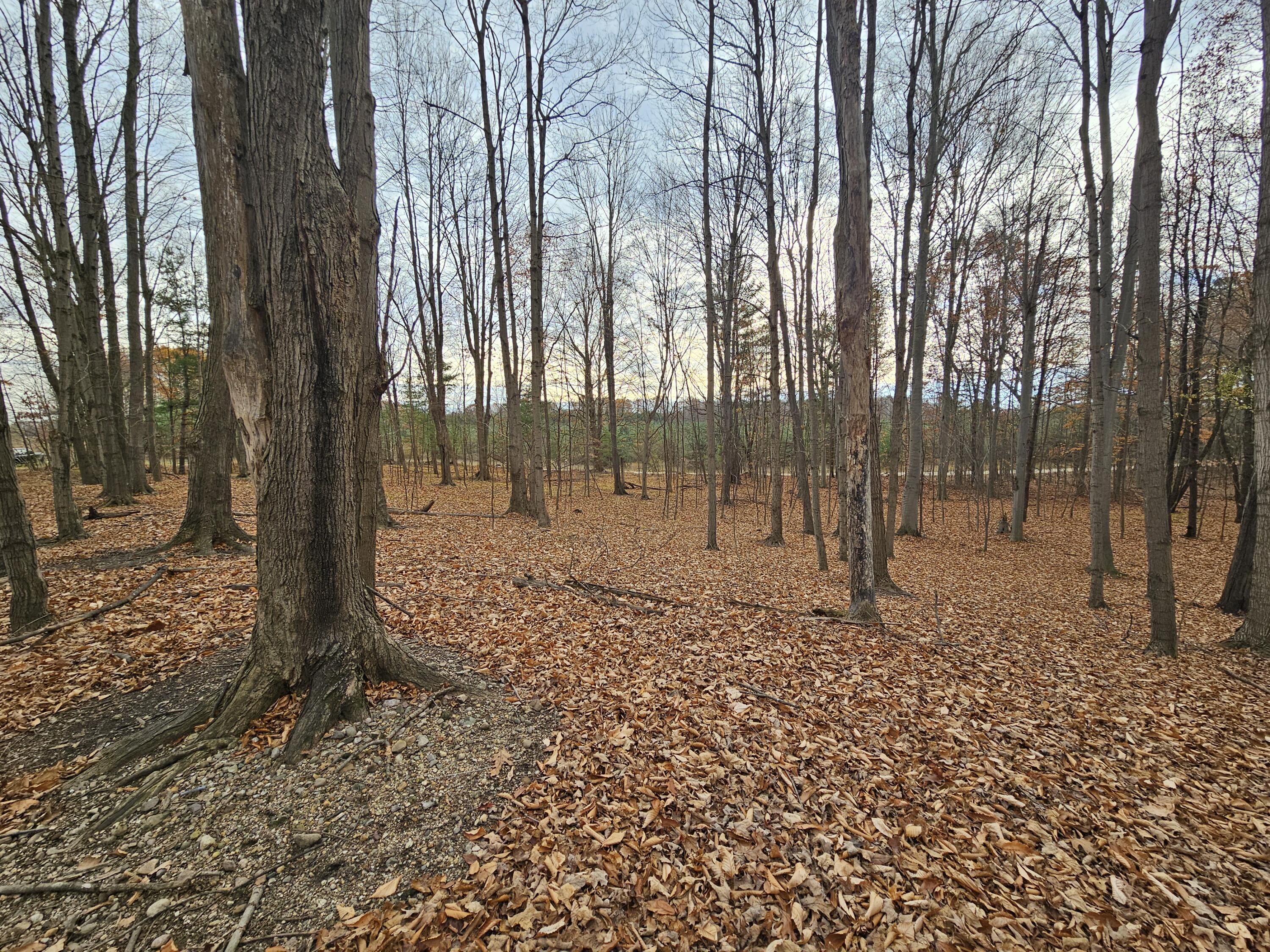 V/l Waterwheel Road Property Photo 33