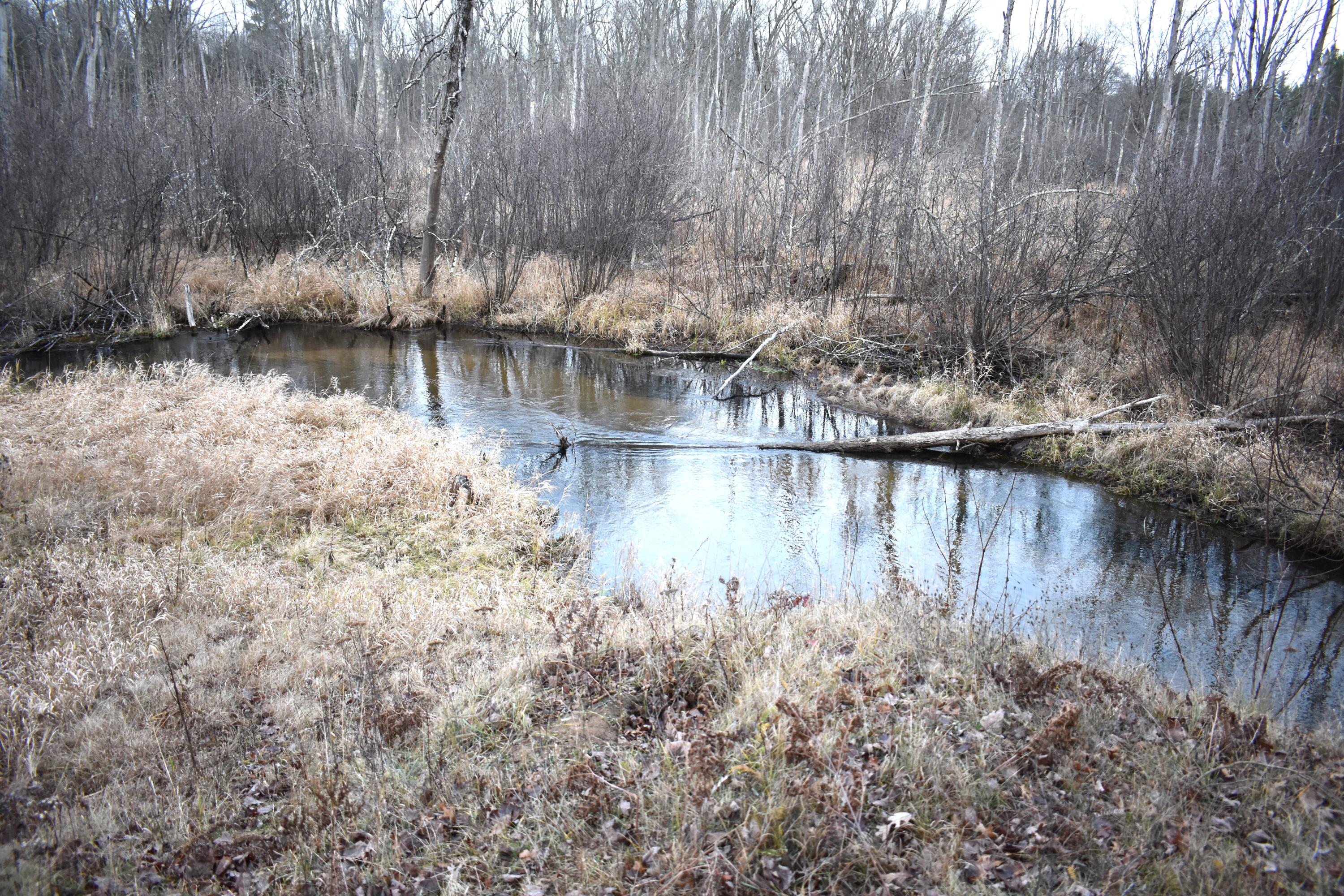 646 3 Mile Road Property Photo 2